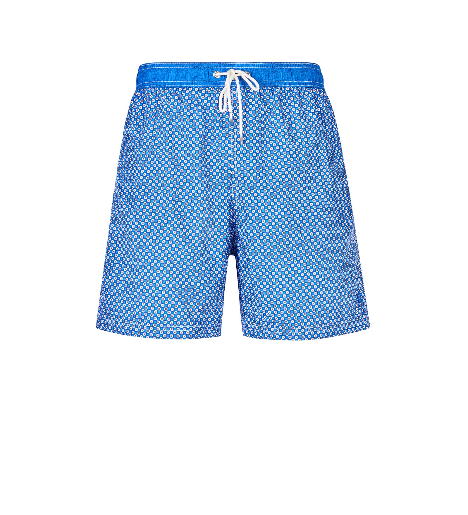 Immagine diapositiva