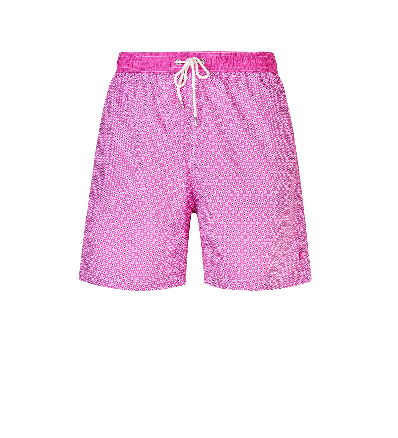 Immagine diapositiva