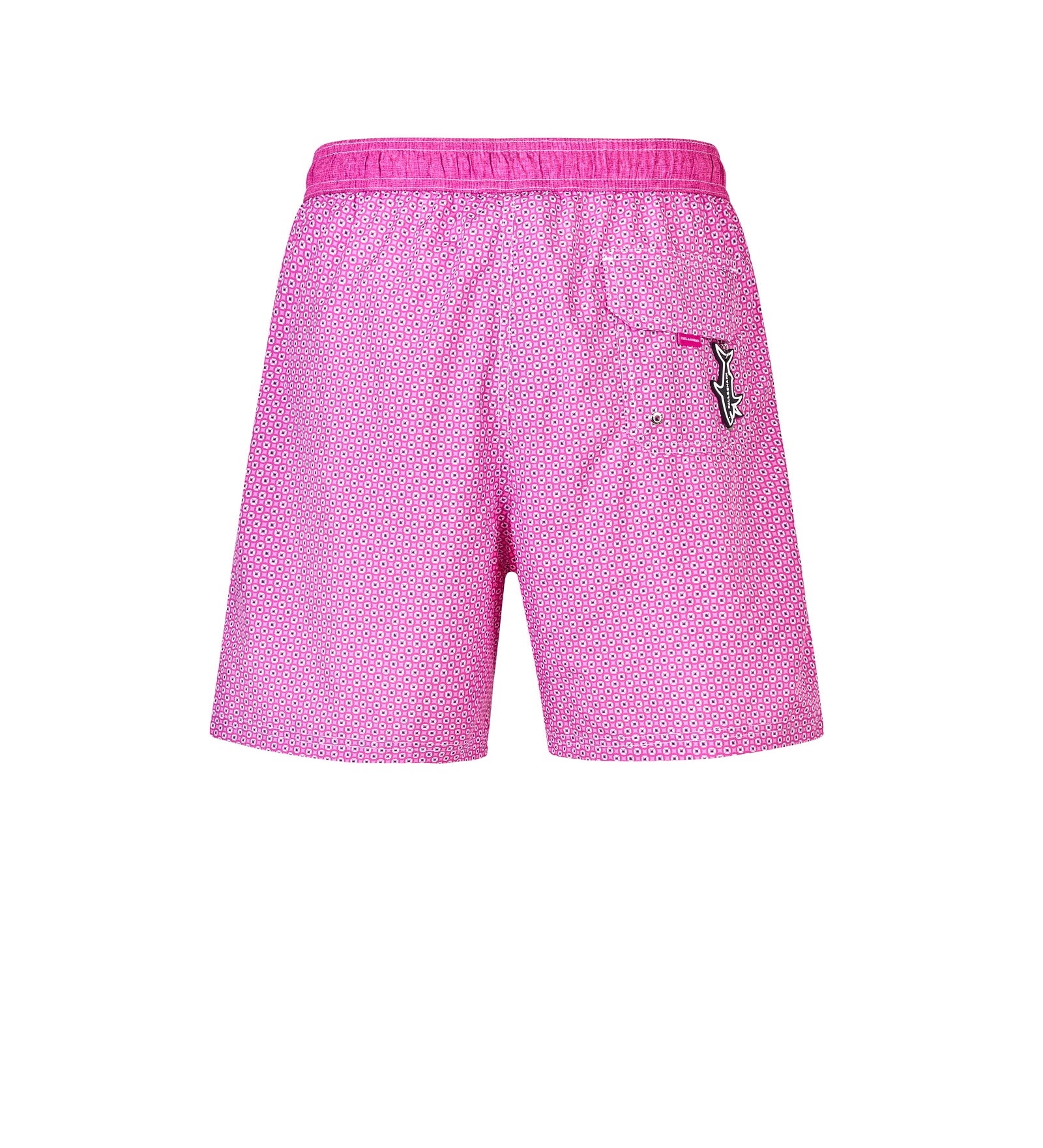 Boxer mare PAUL&SHARK
Fantasia