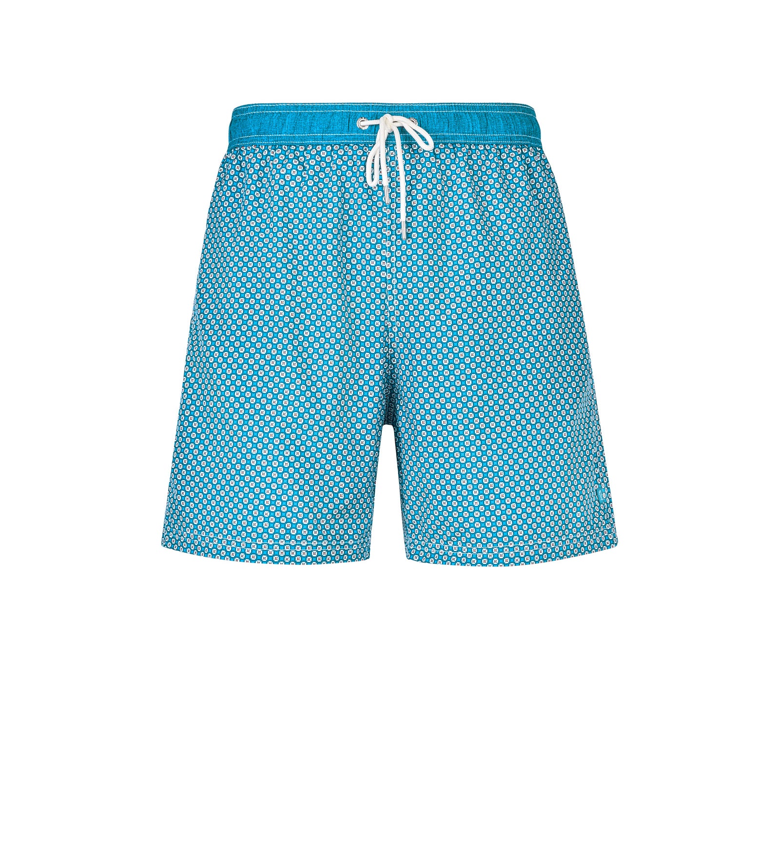 Immagine diapositiva