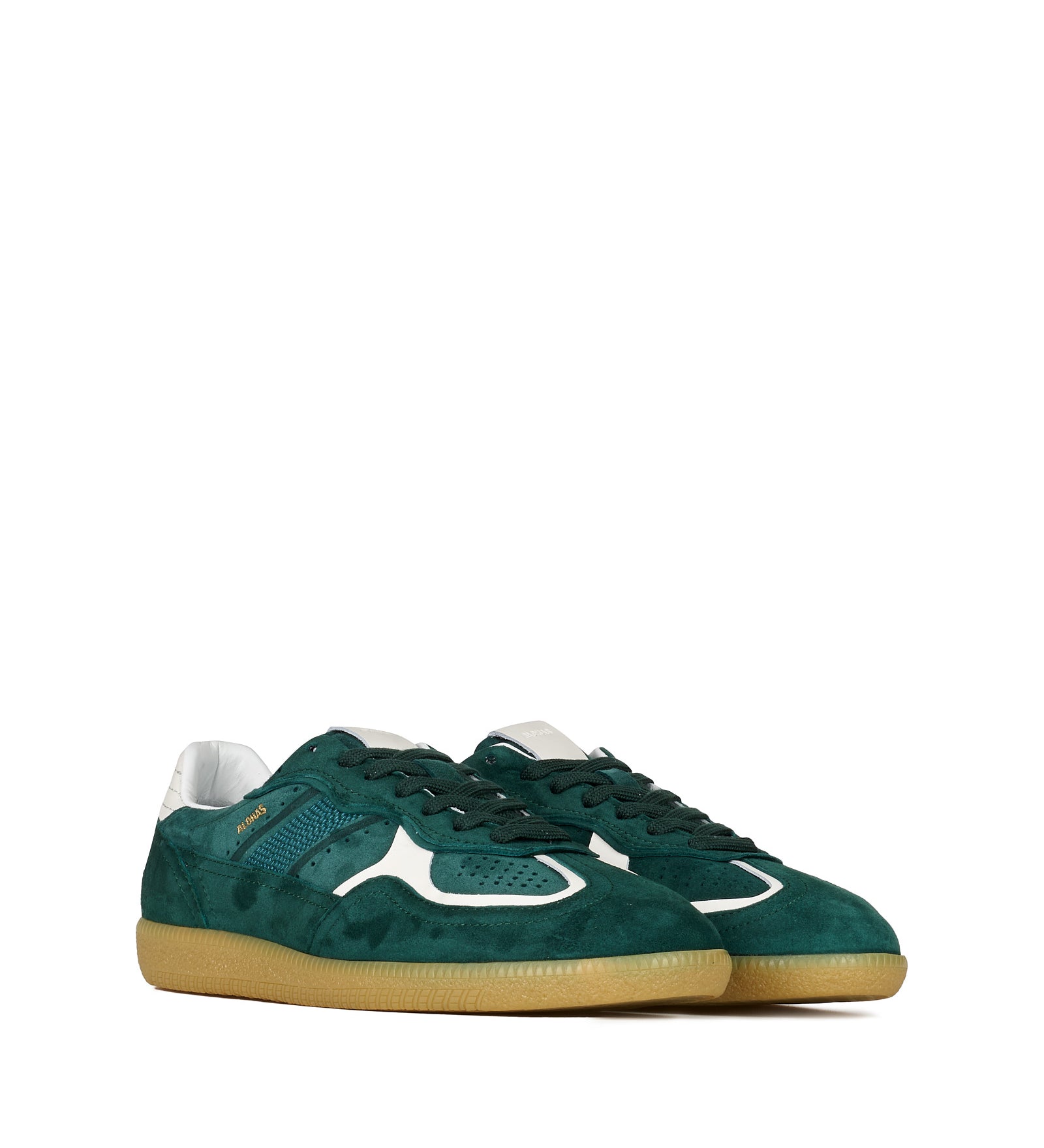 Immagine diapositiva