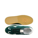 Immagine diapositiva