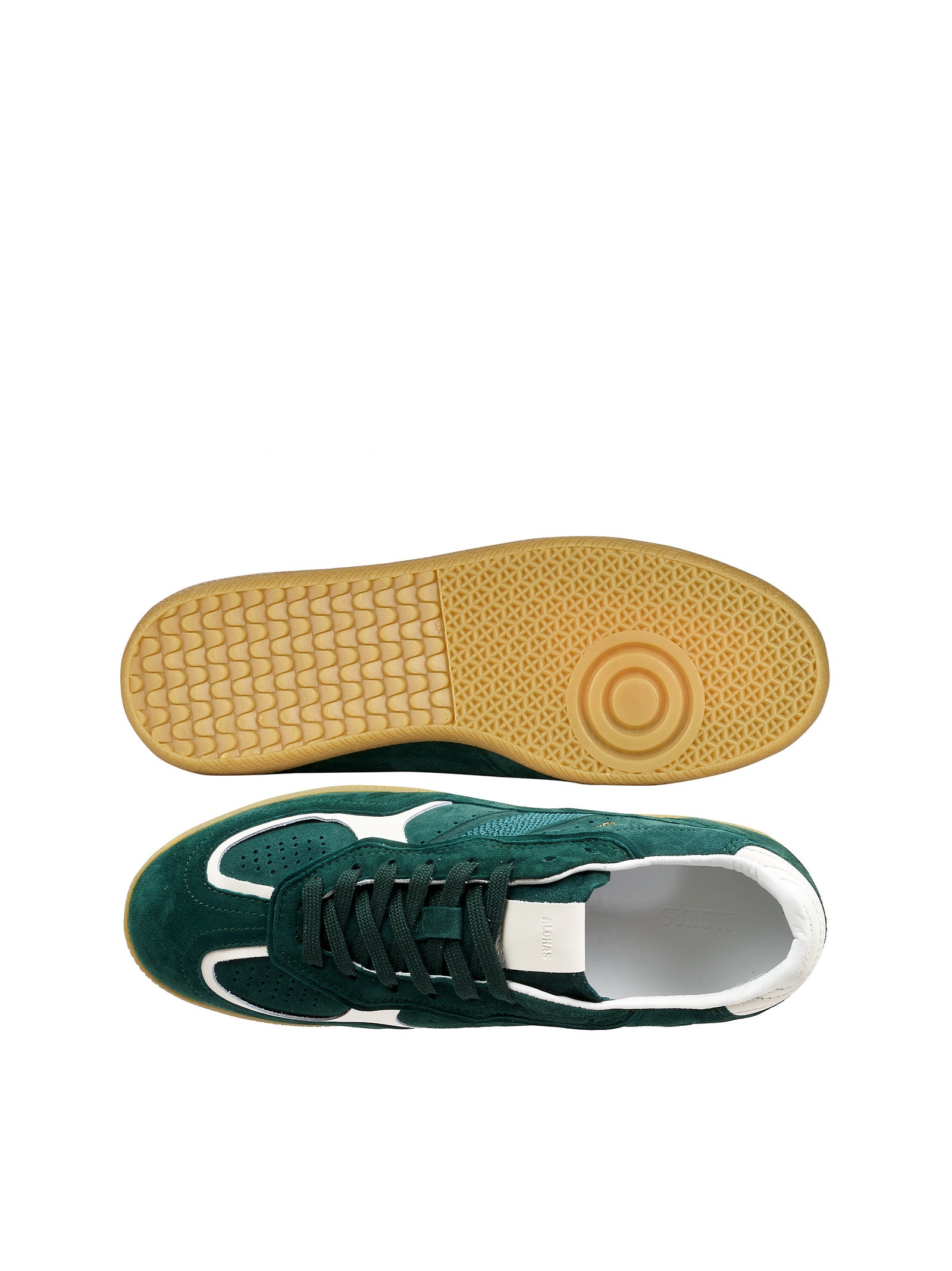 Immagine diapositiva