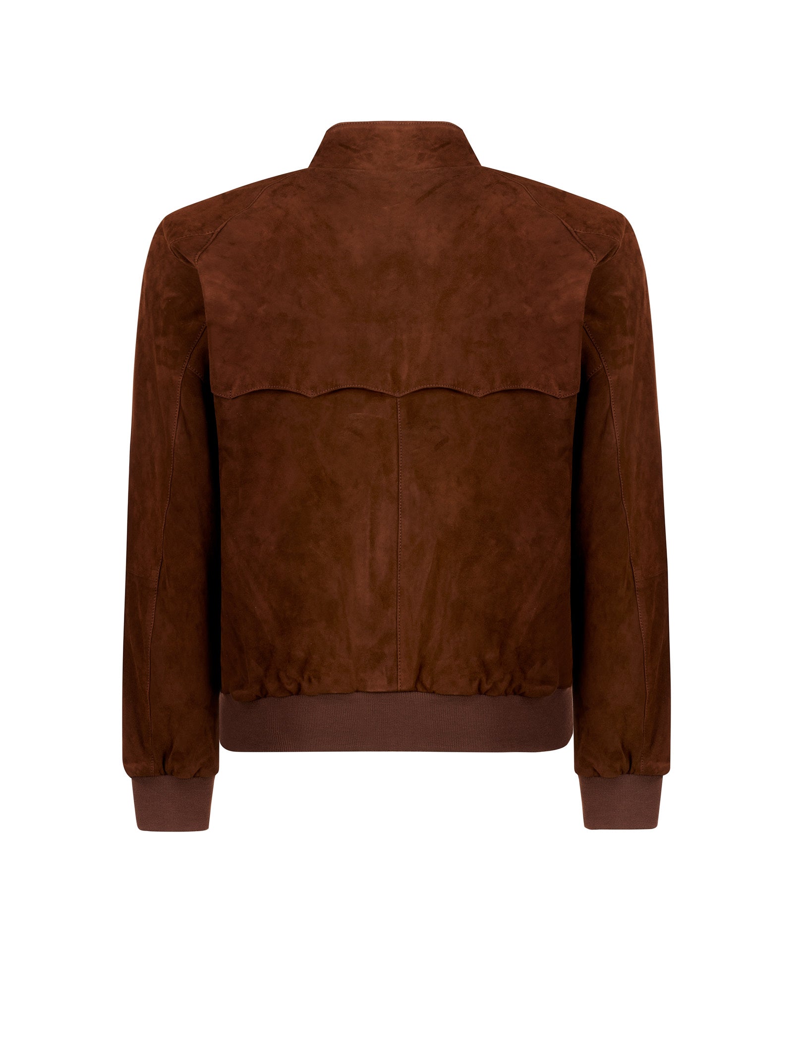 Immagine diapositiva