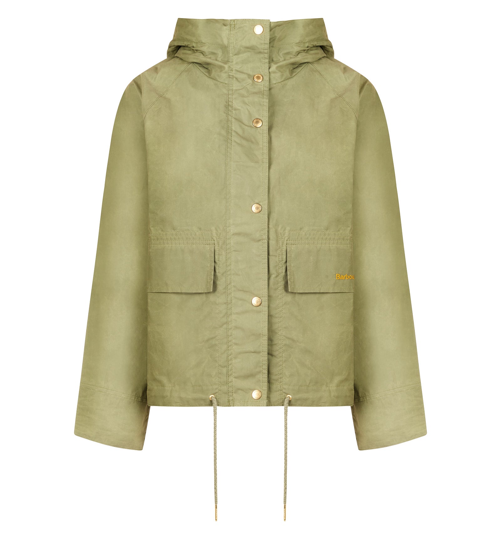 Immagine diapositiva