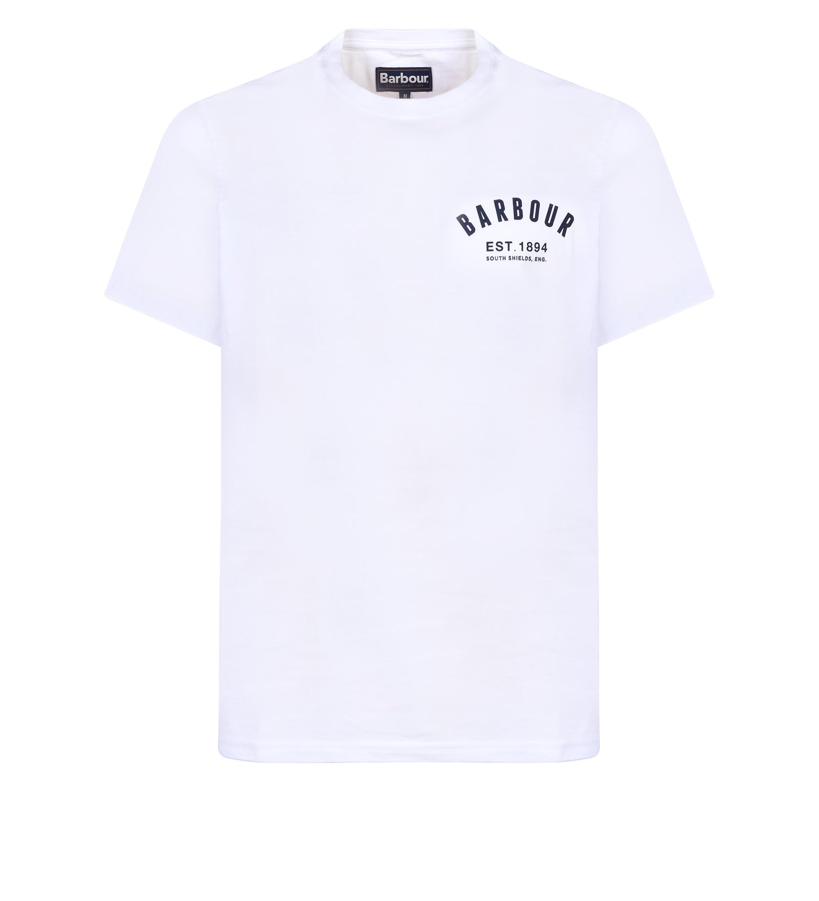 Immagine diapositiva