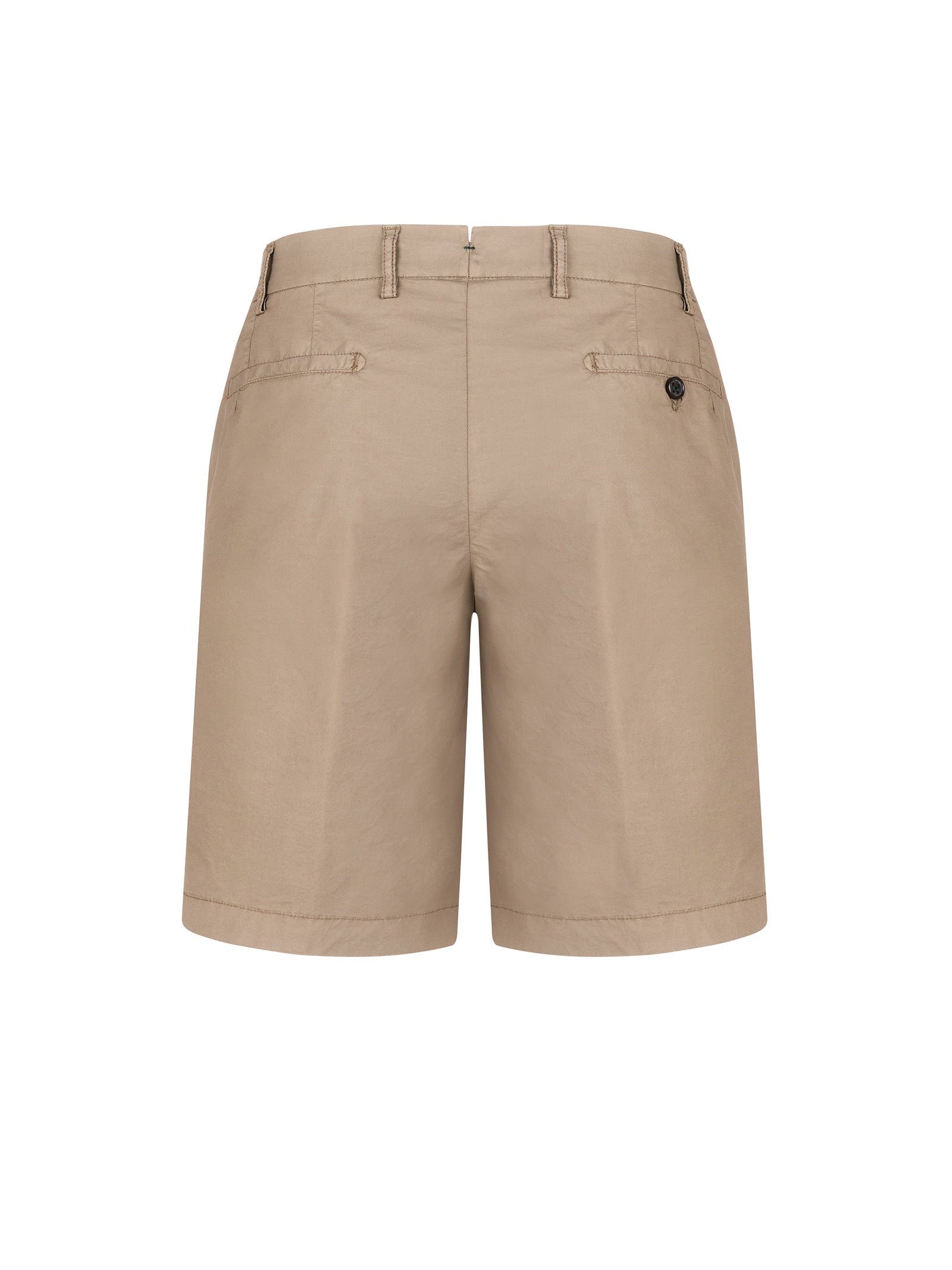 Immagine diapositiva