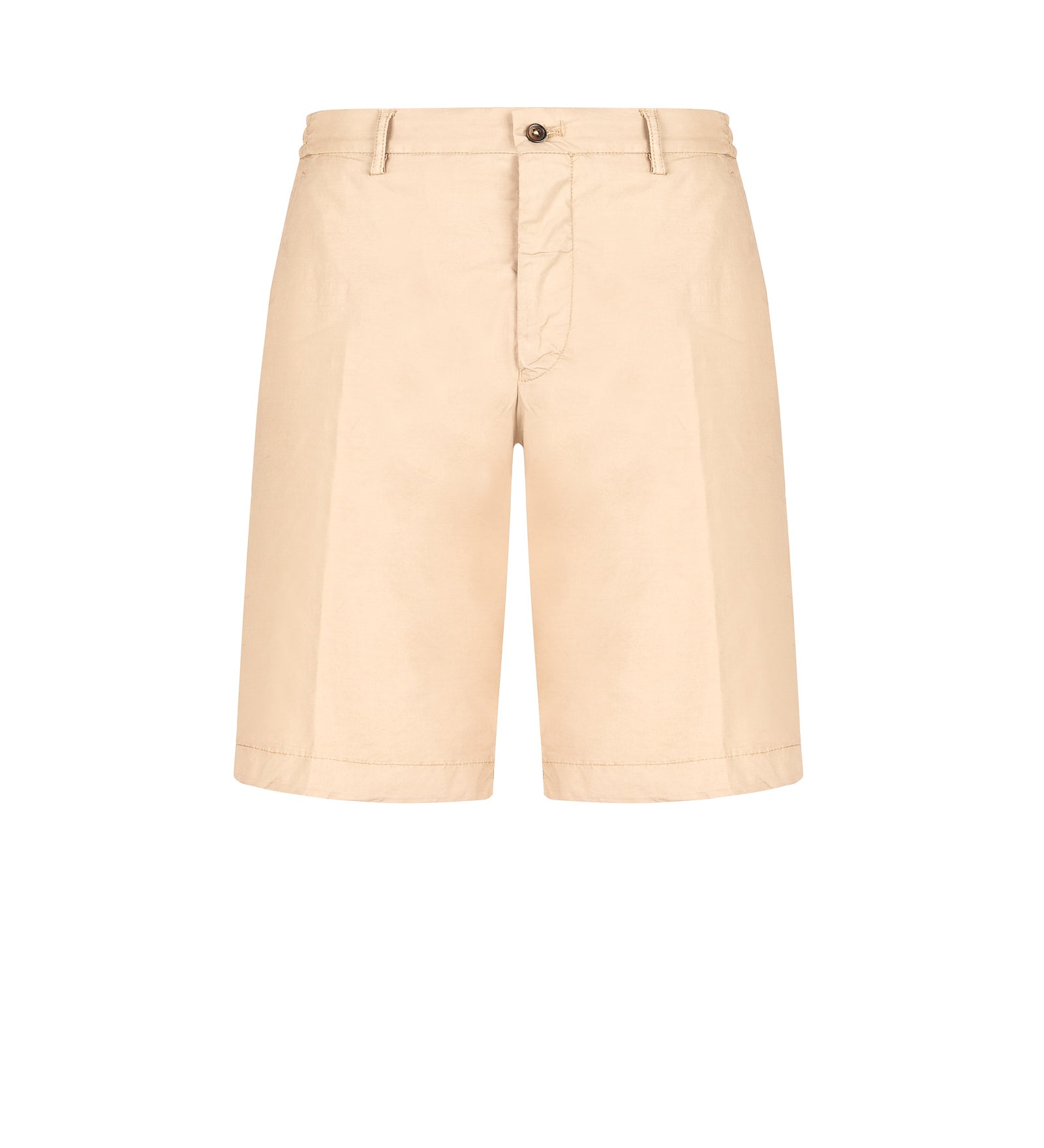 Immagine diapositiva