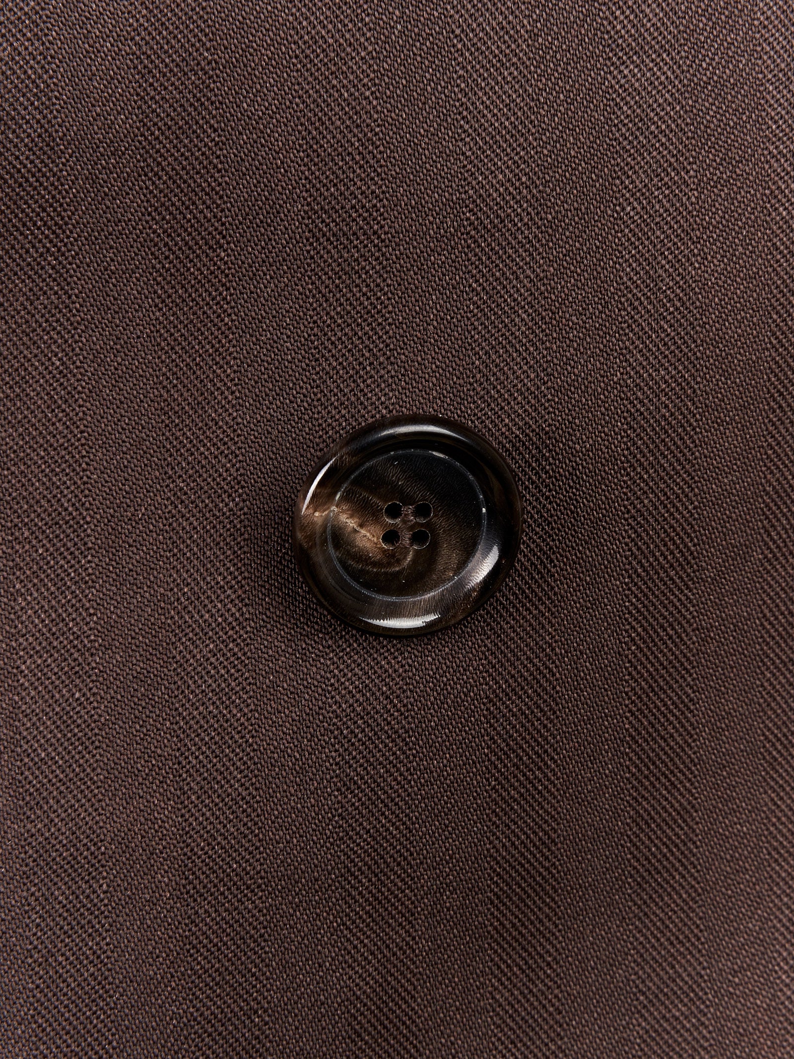 Immagine diapositiva