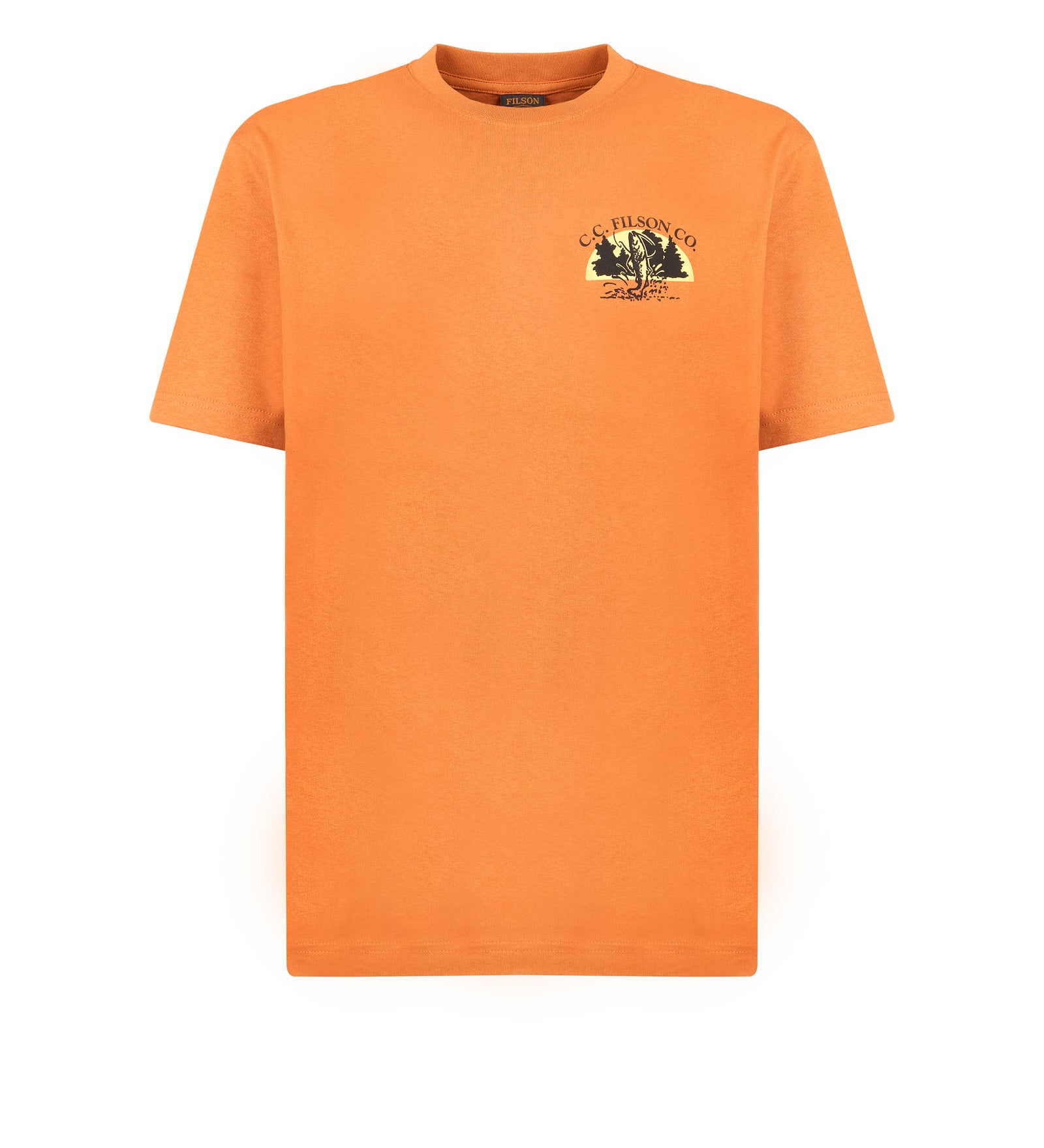 Immagine diapositiva