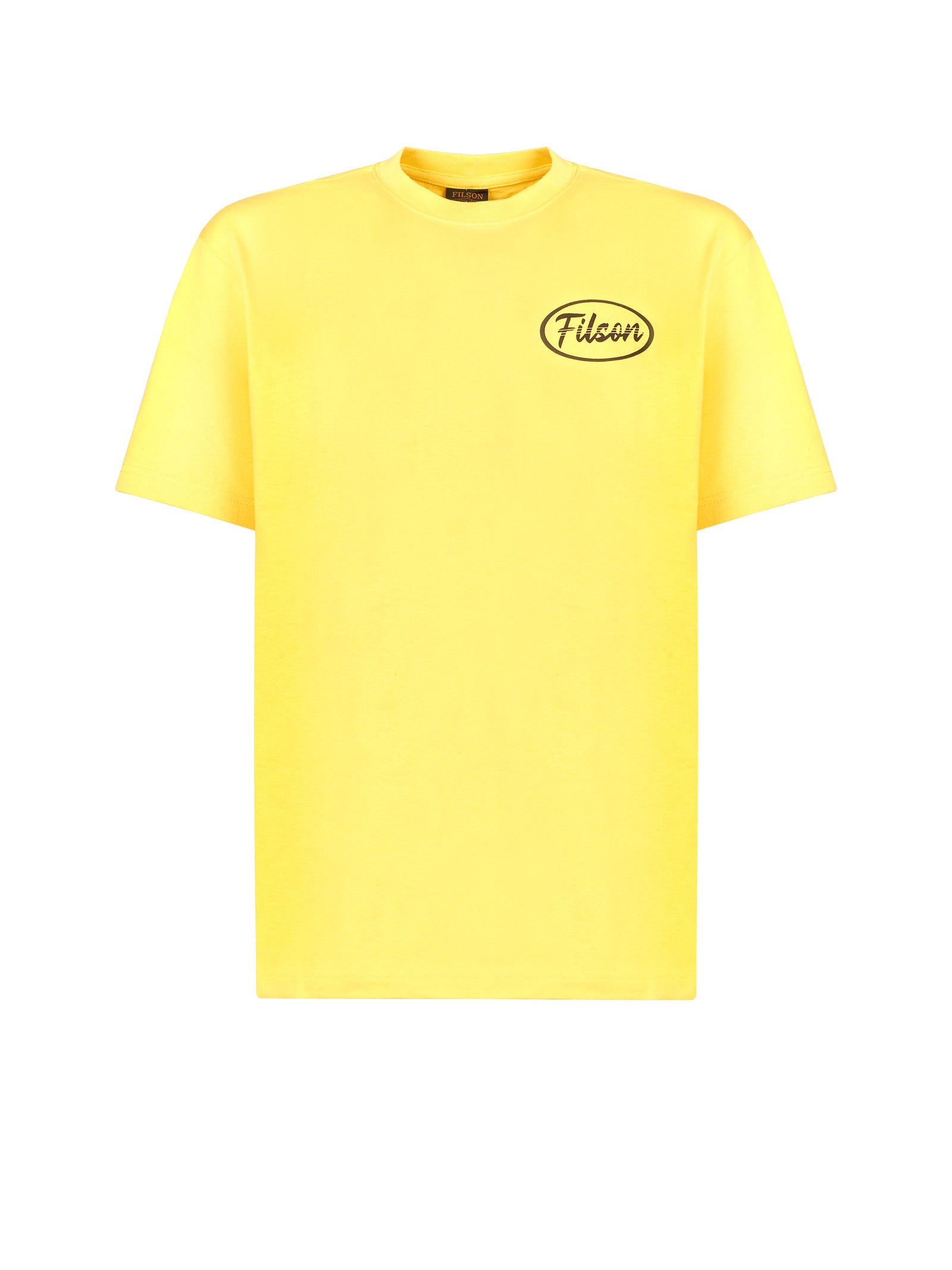 Immagine diapositiva