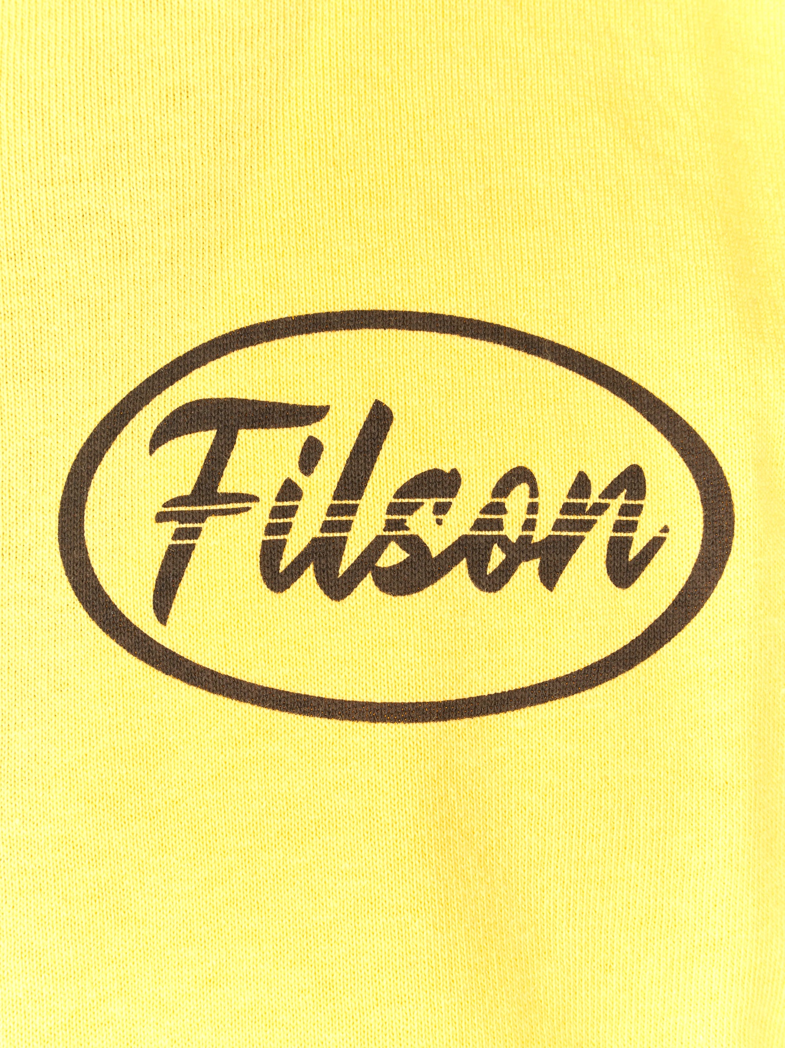 Immagine diapositiva