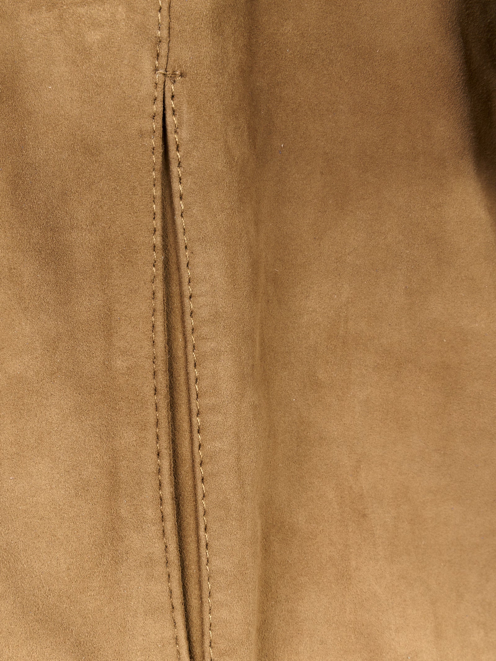 Immagine diapositiva