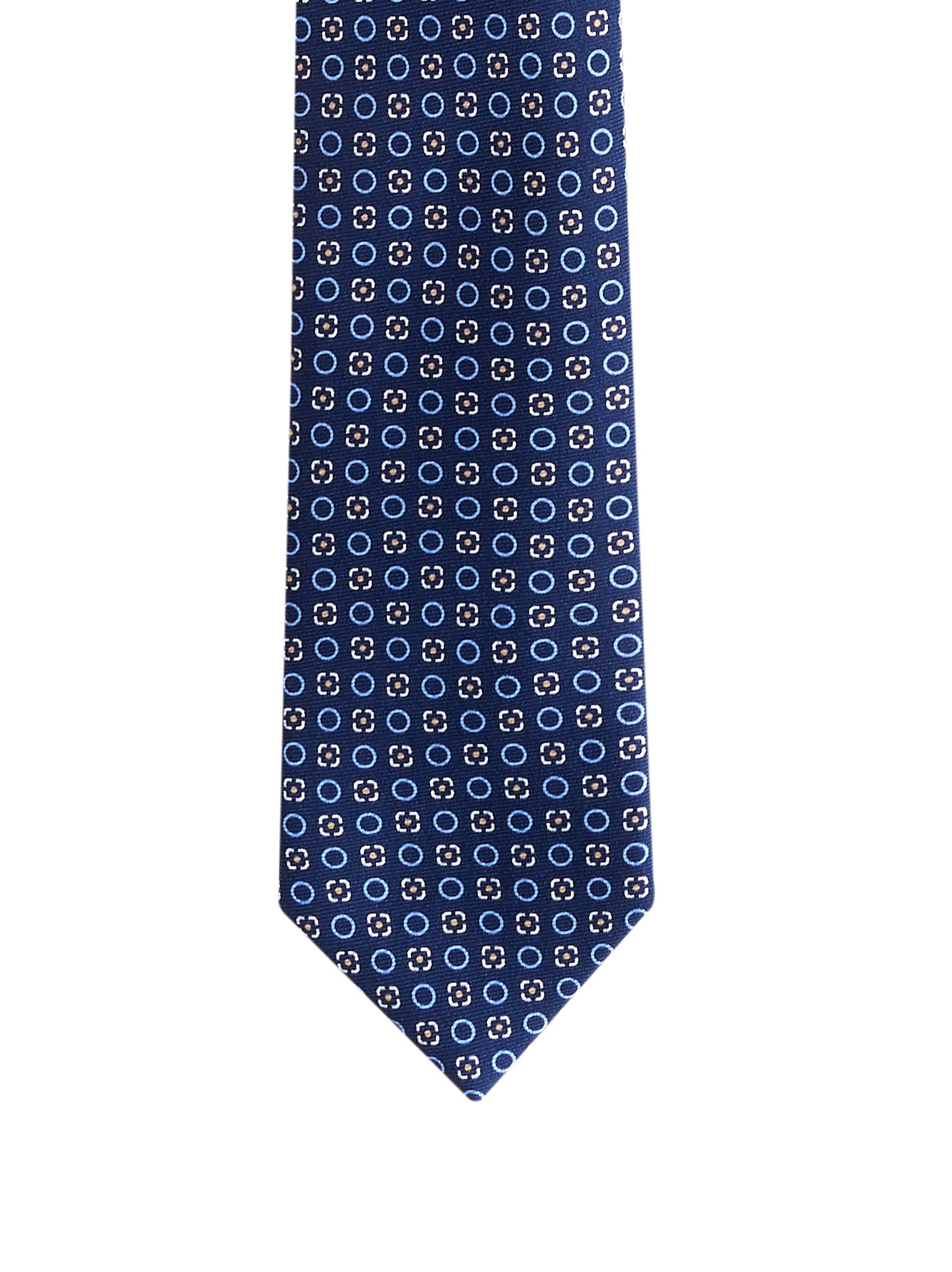 Immagine diapositiva