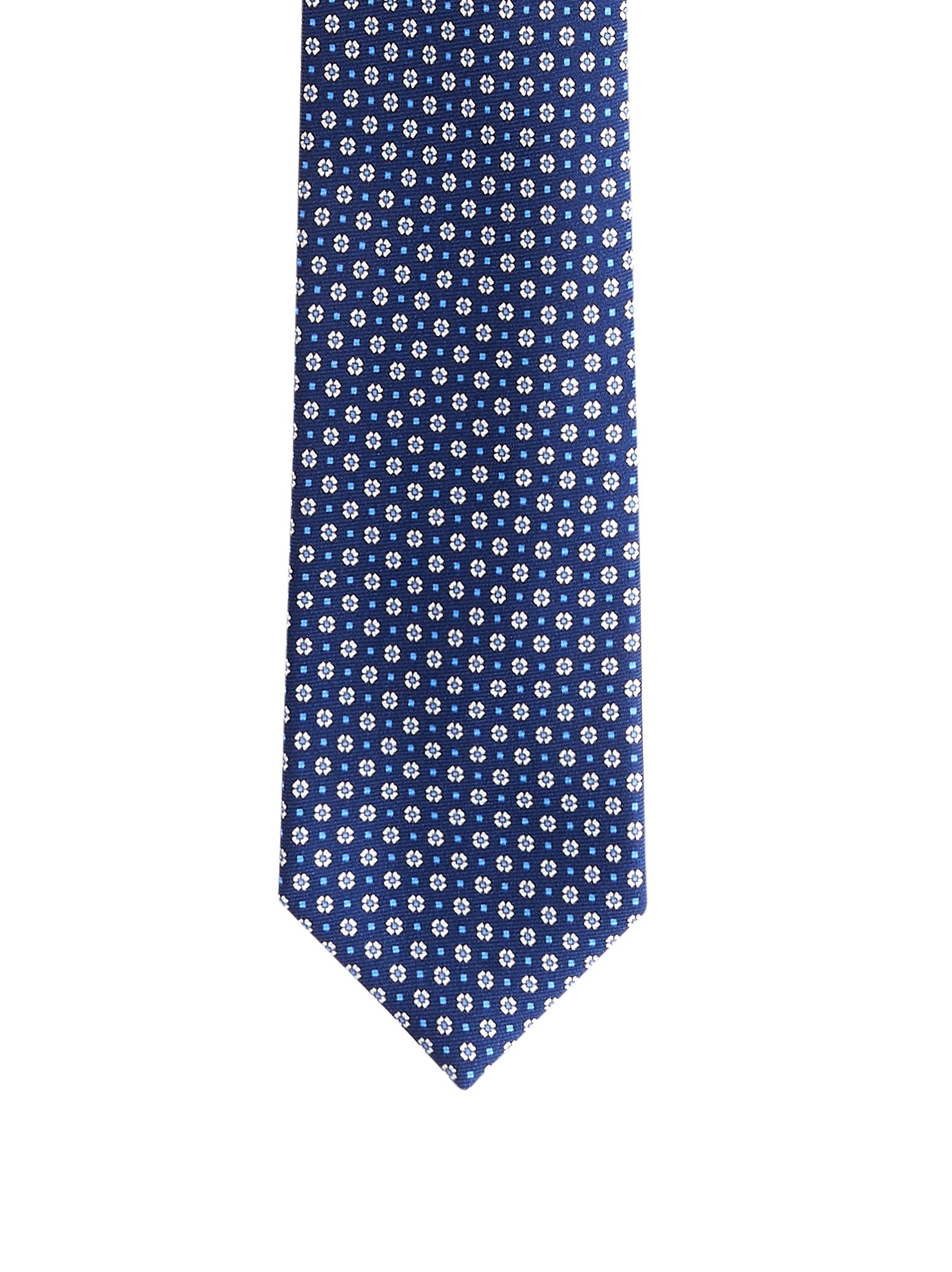 Immagine diapositiva