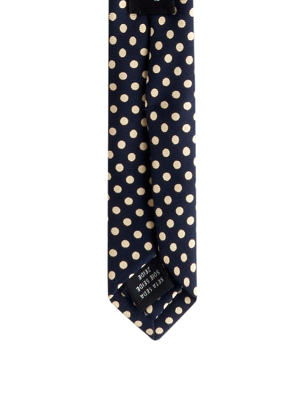 Immagine diapositiva