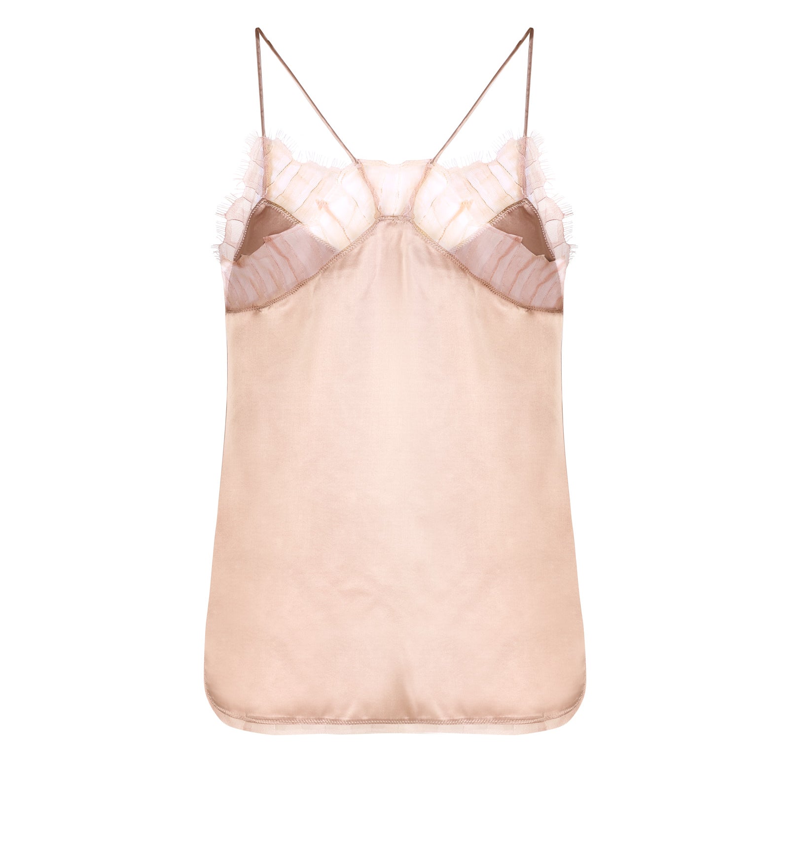 Immagine diapositiva