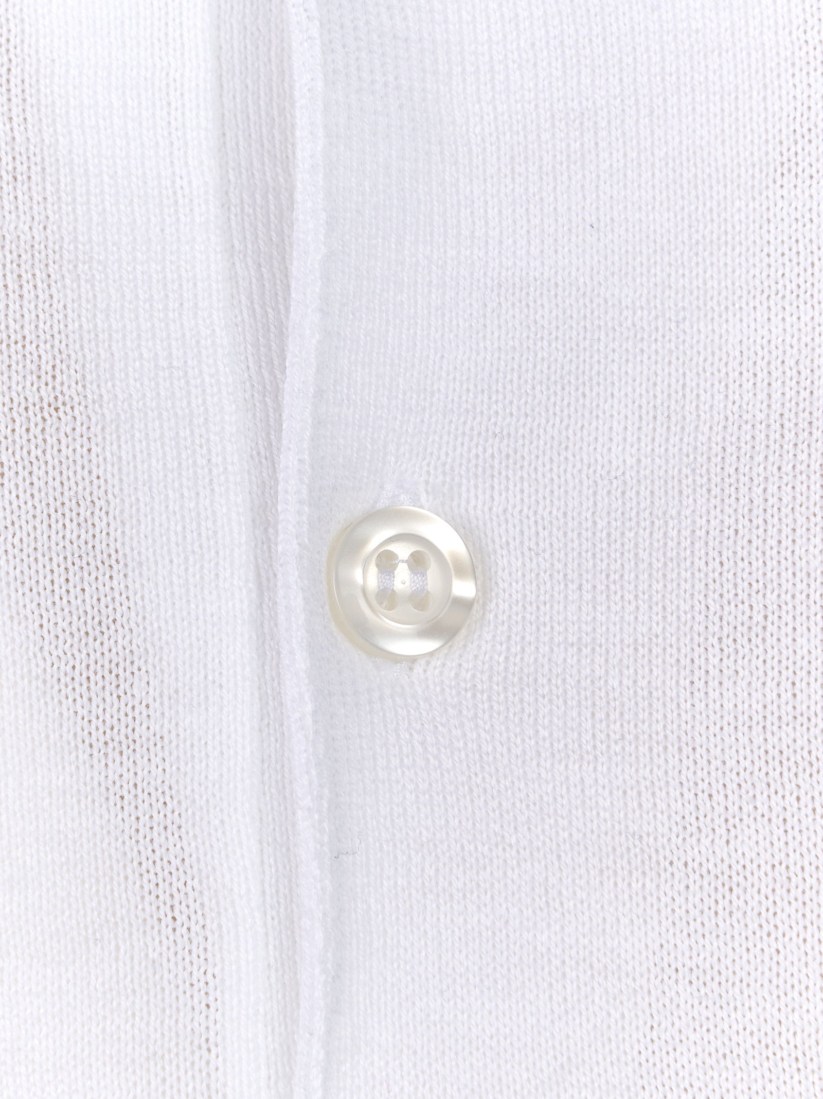 Immagine diapositiva