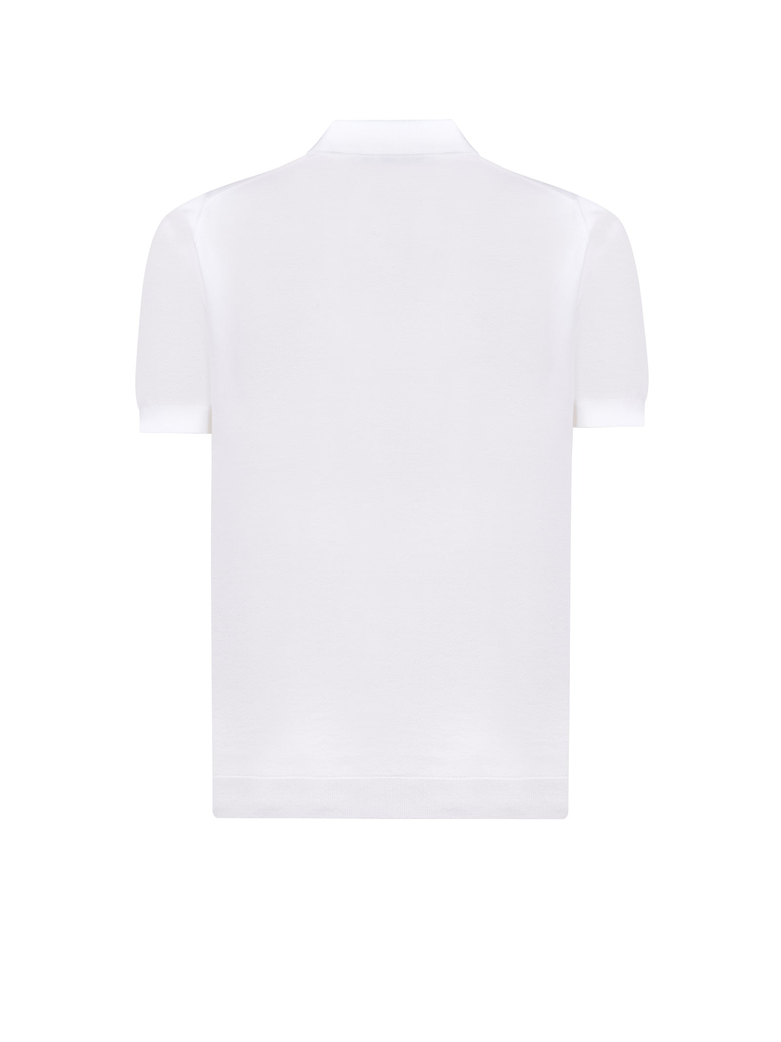 Immagine diapositiva