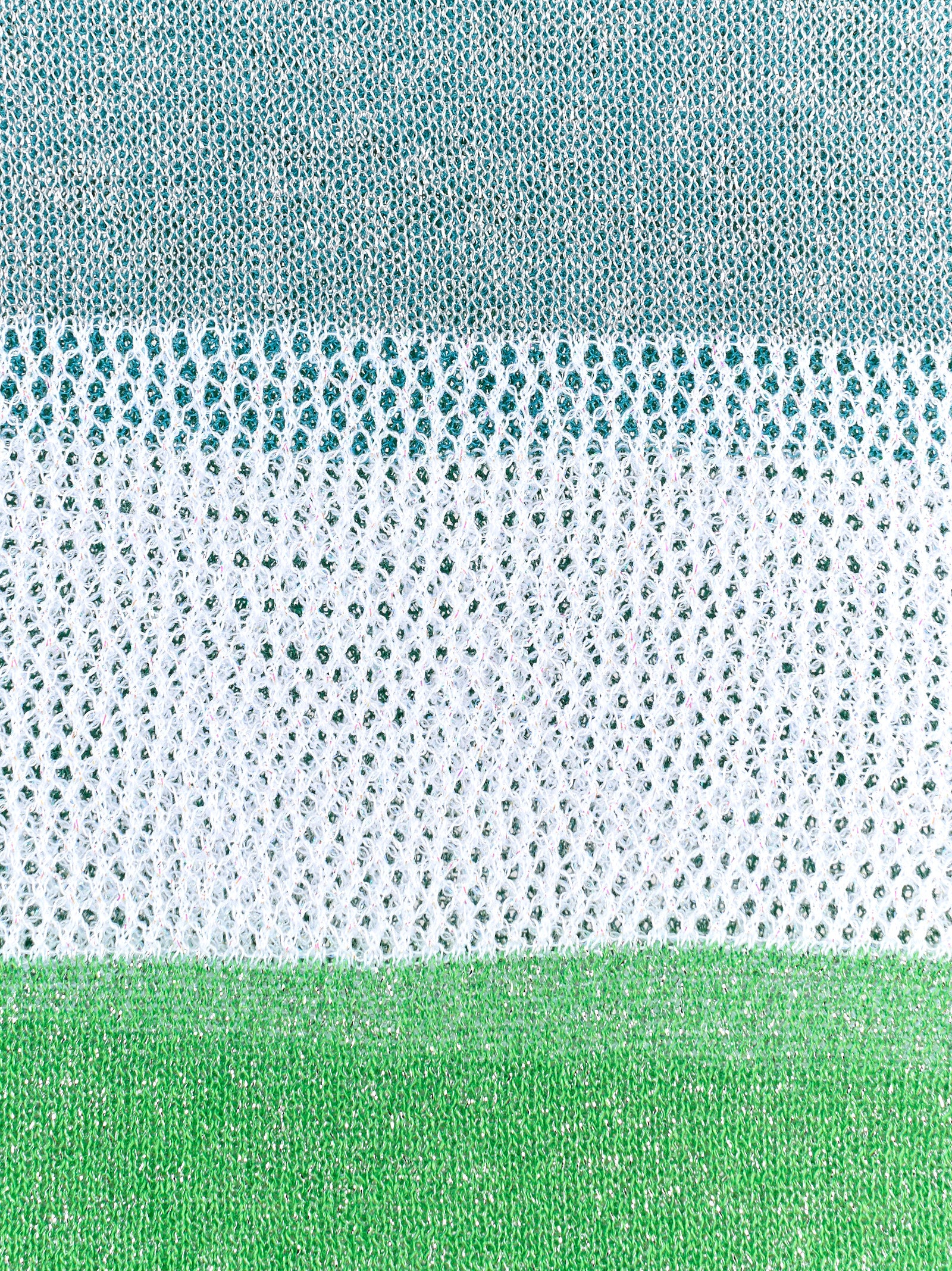 Immagine diapositiva