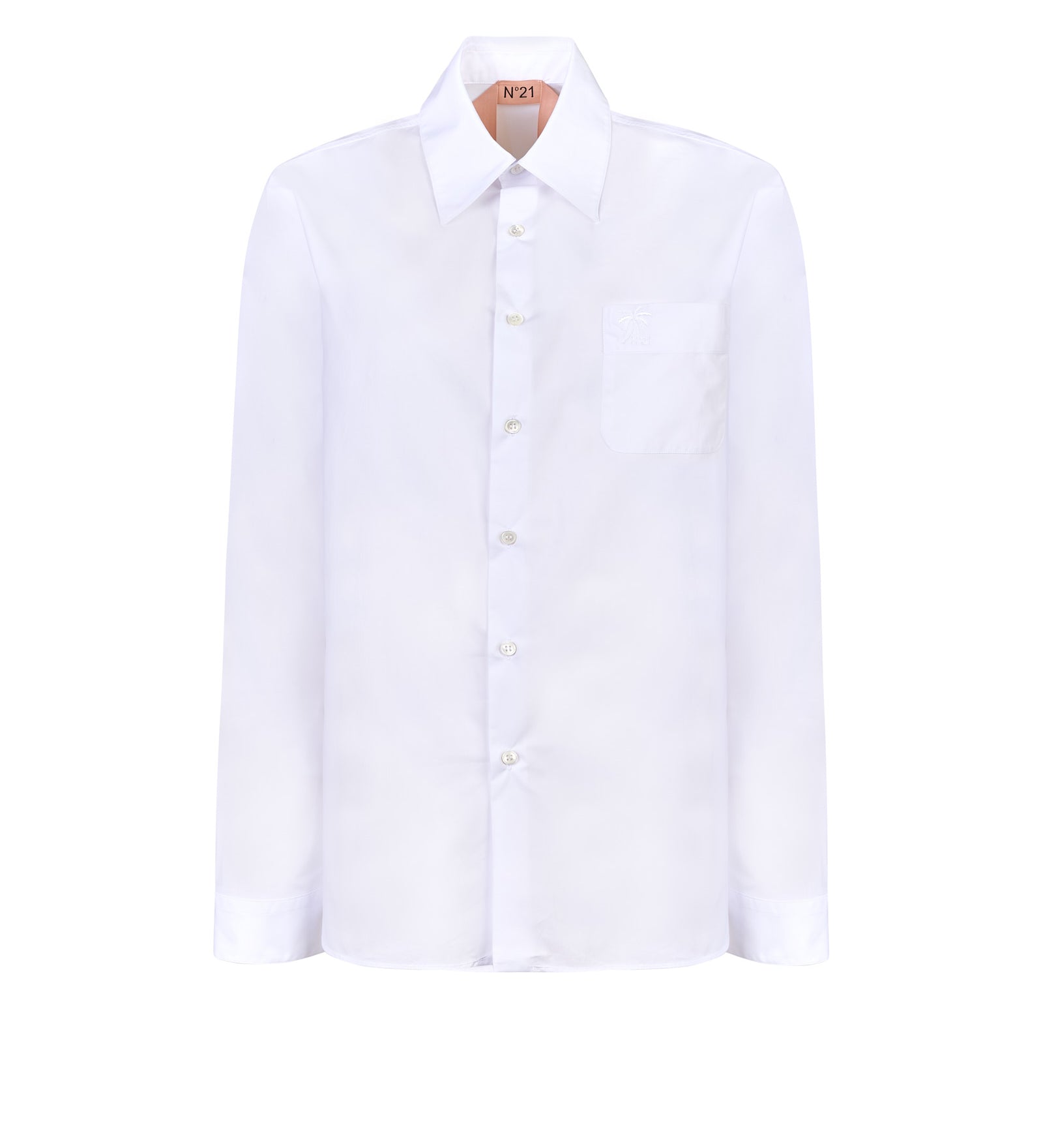 Immagine diapositiva