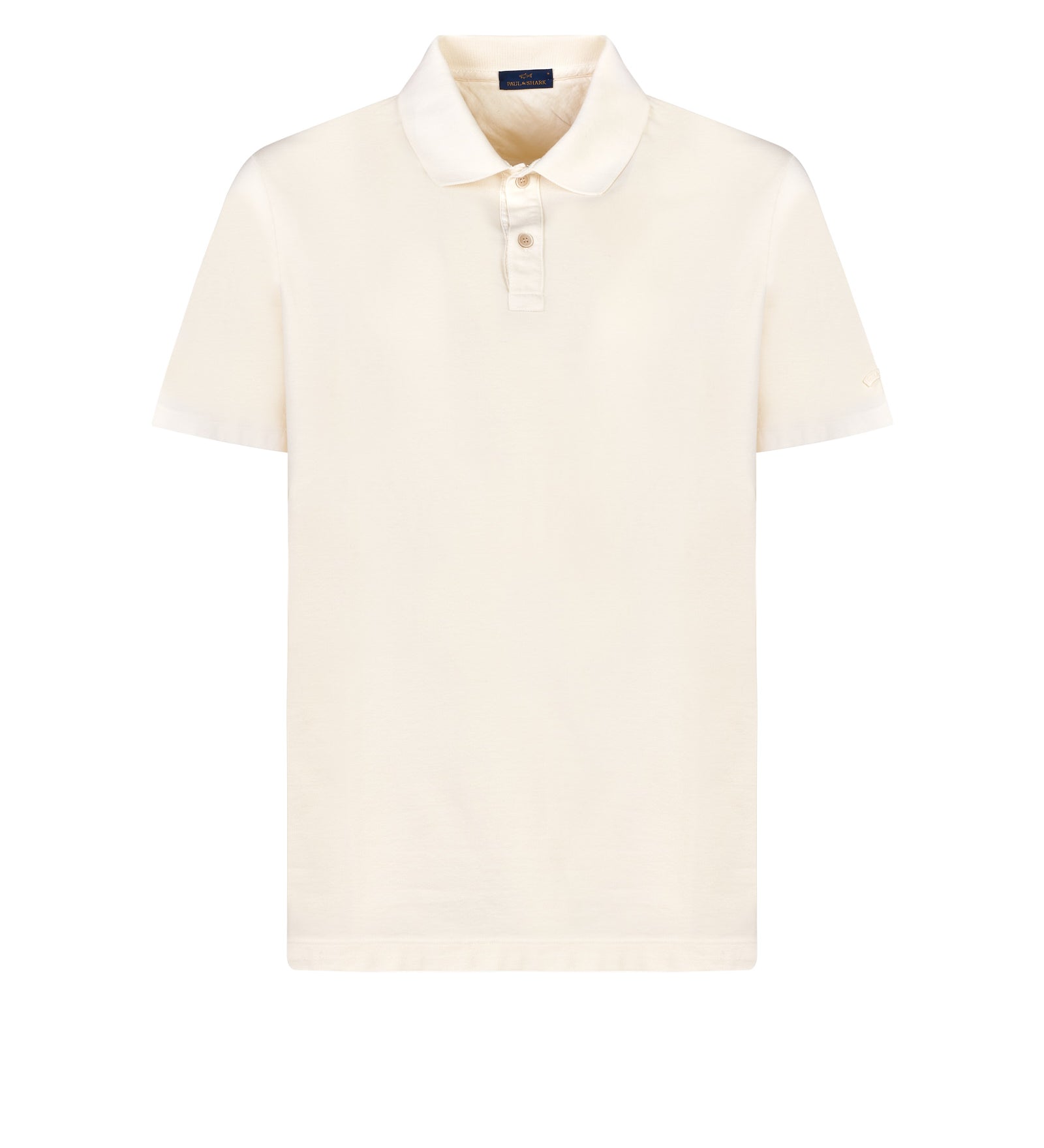 Immagine diapositiva