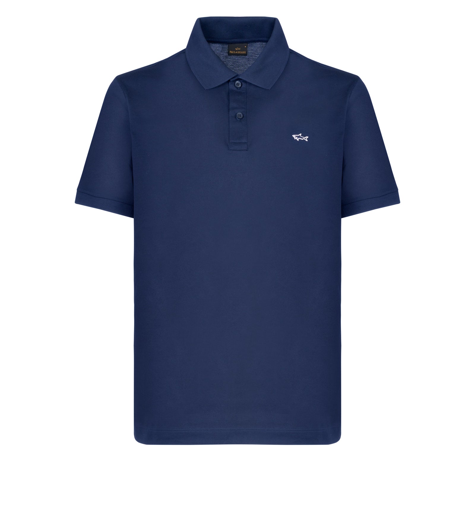 Immagine diapositiva