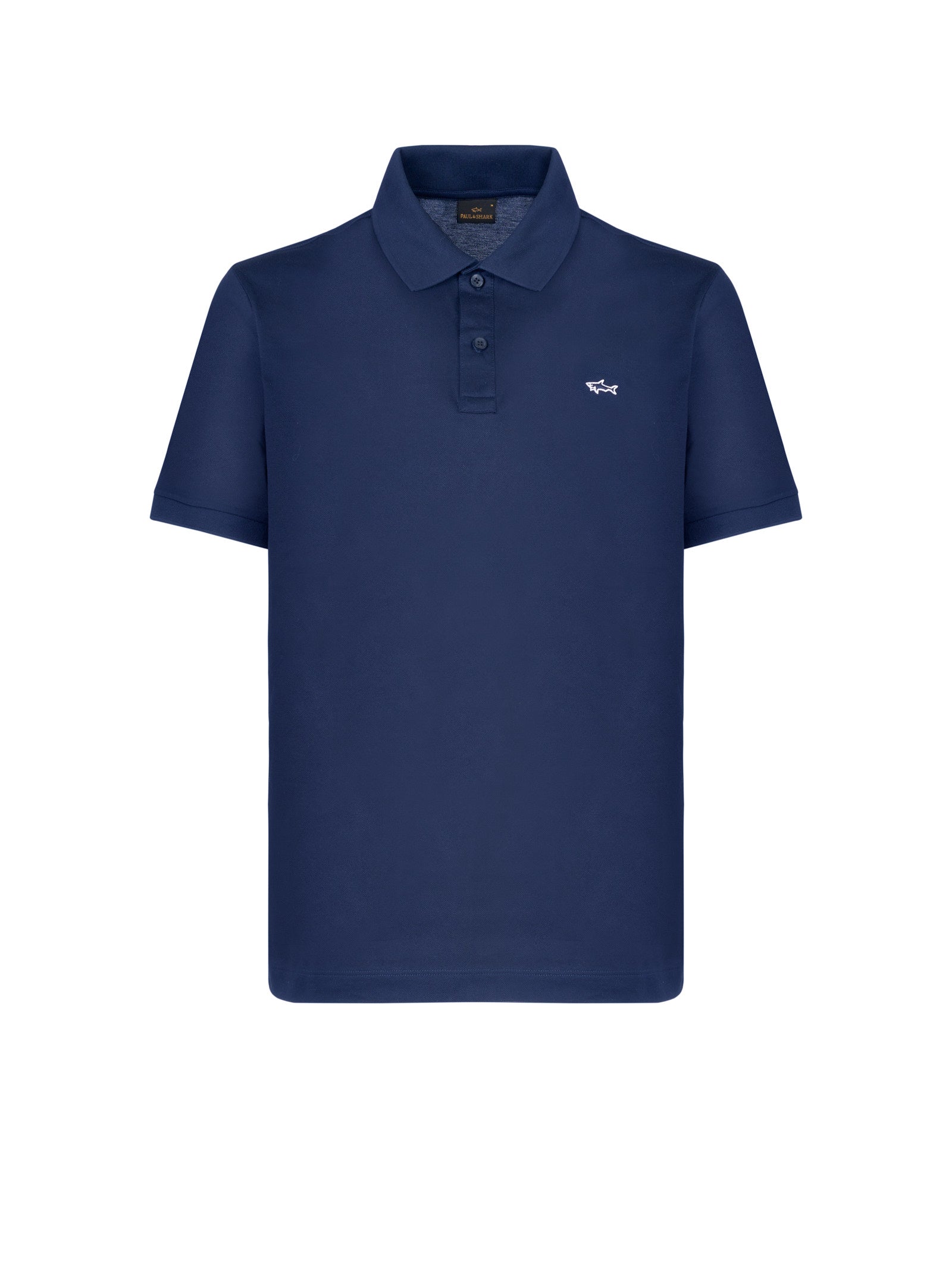 Immagine diapositiva