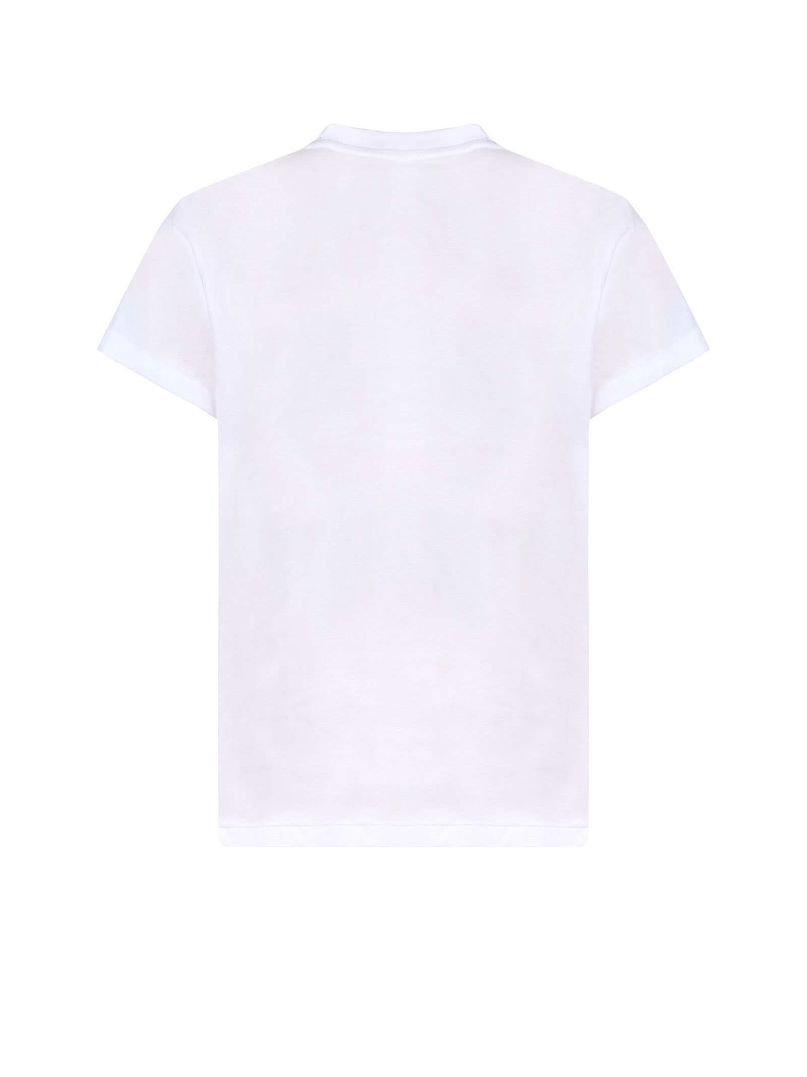 Immagine diapositiva