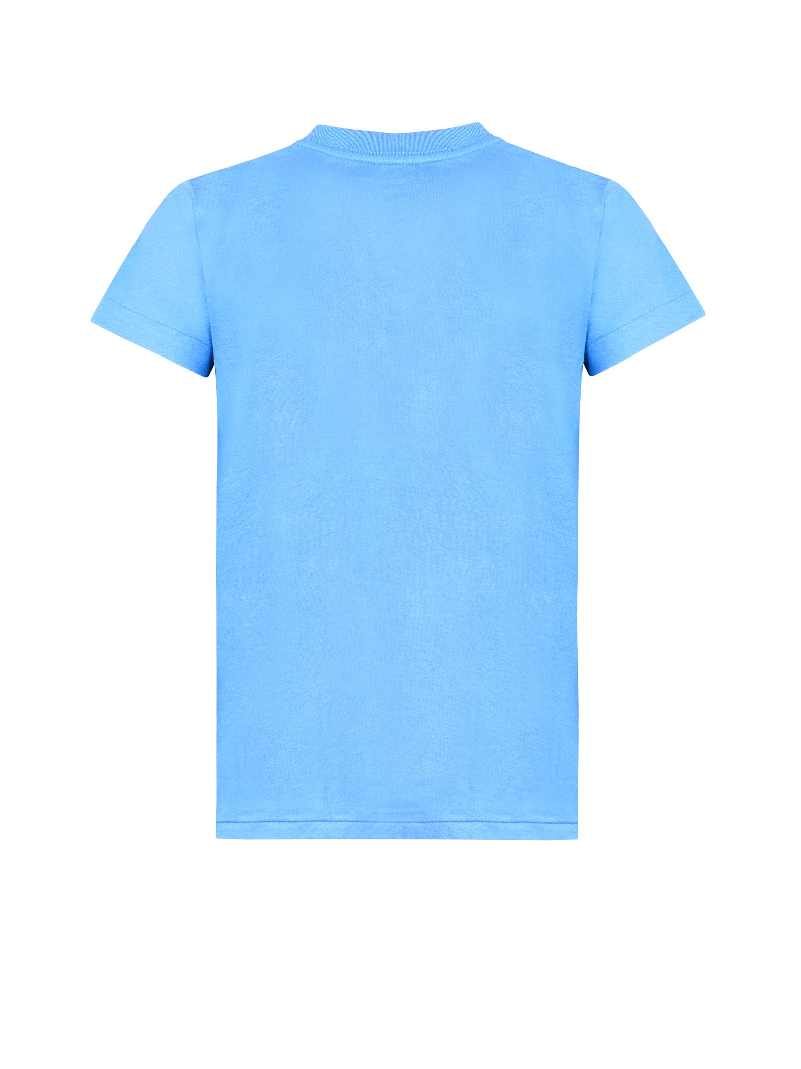 Immagine diapositiva