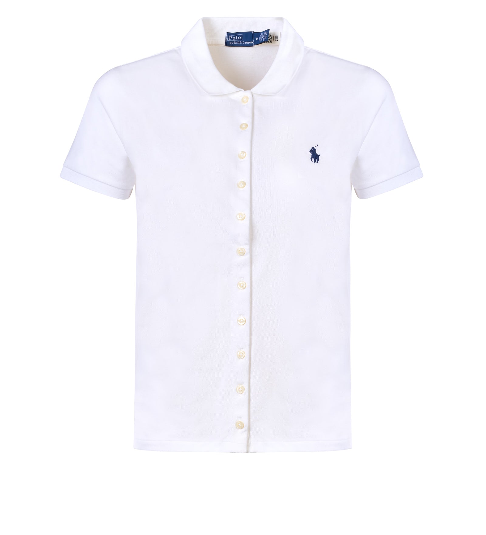 Immagine diapositiva