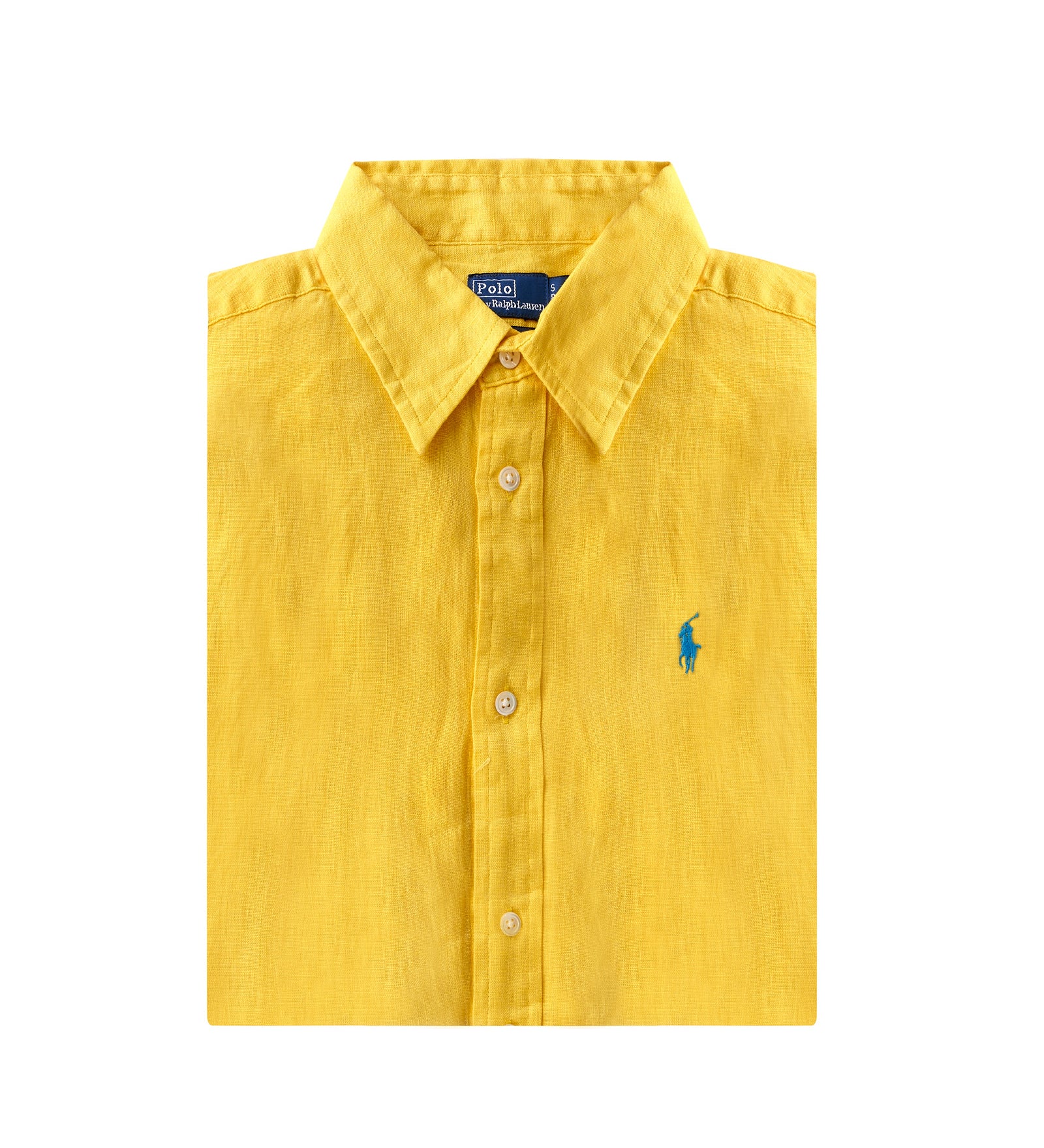 Immagine diapositiva