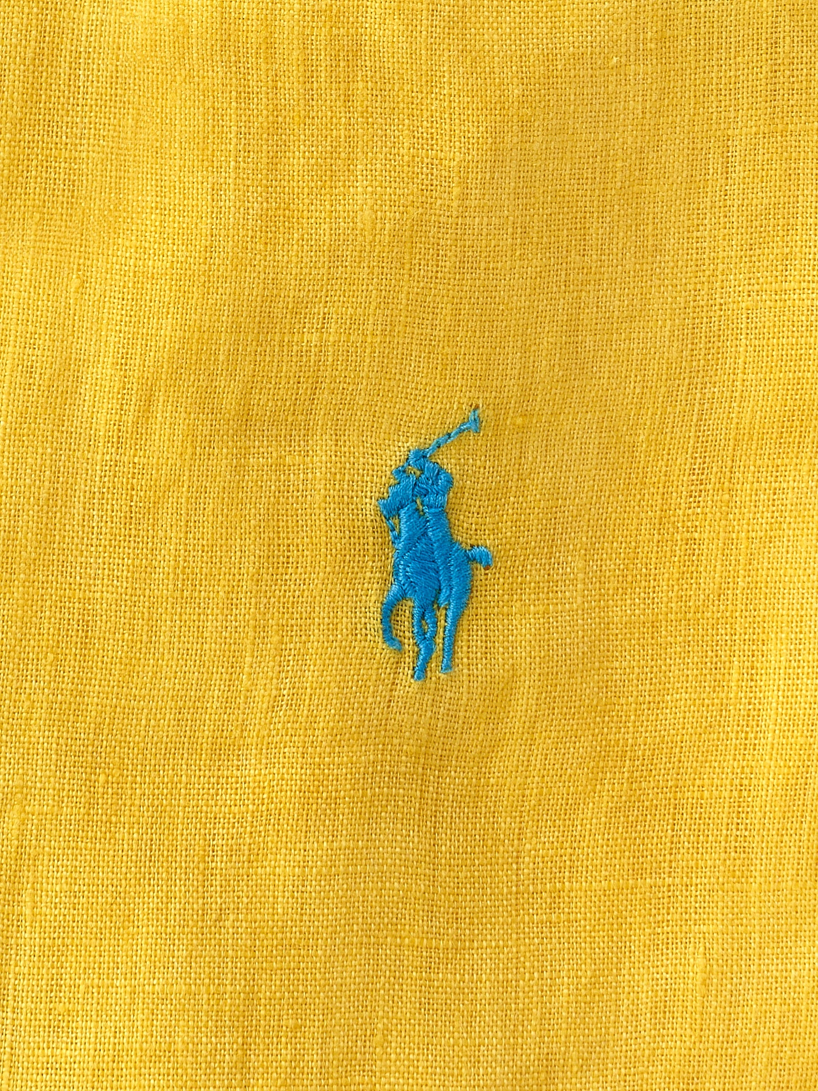 Immagine diapositiva