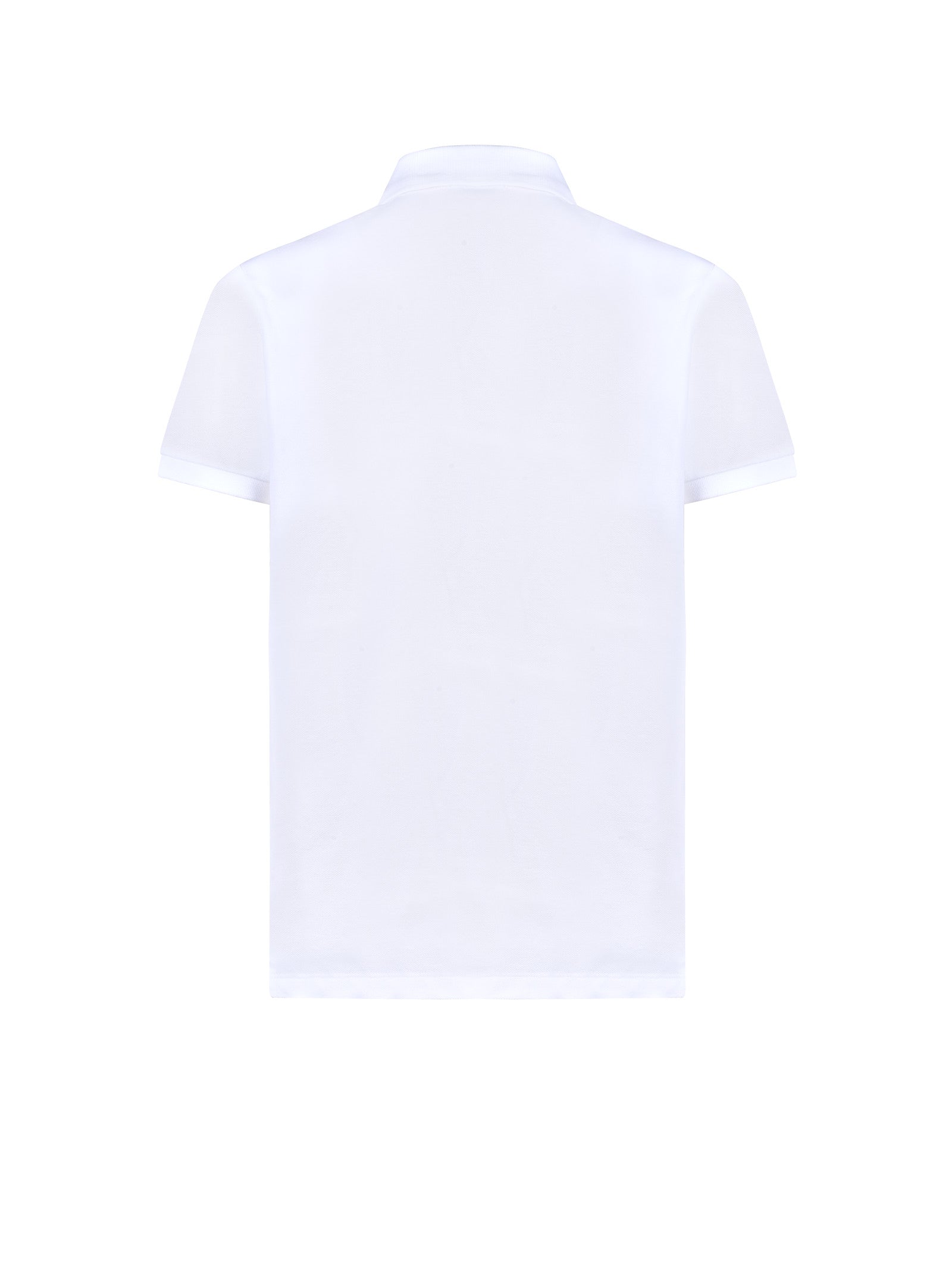 Immagine diapositiva