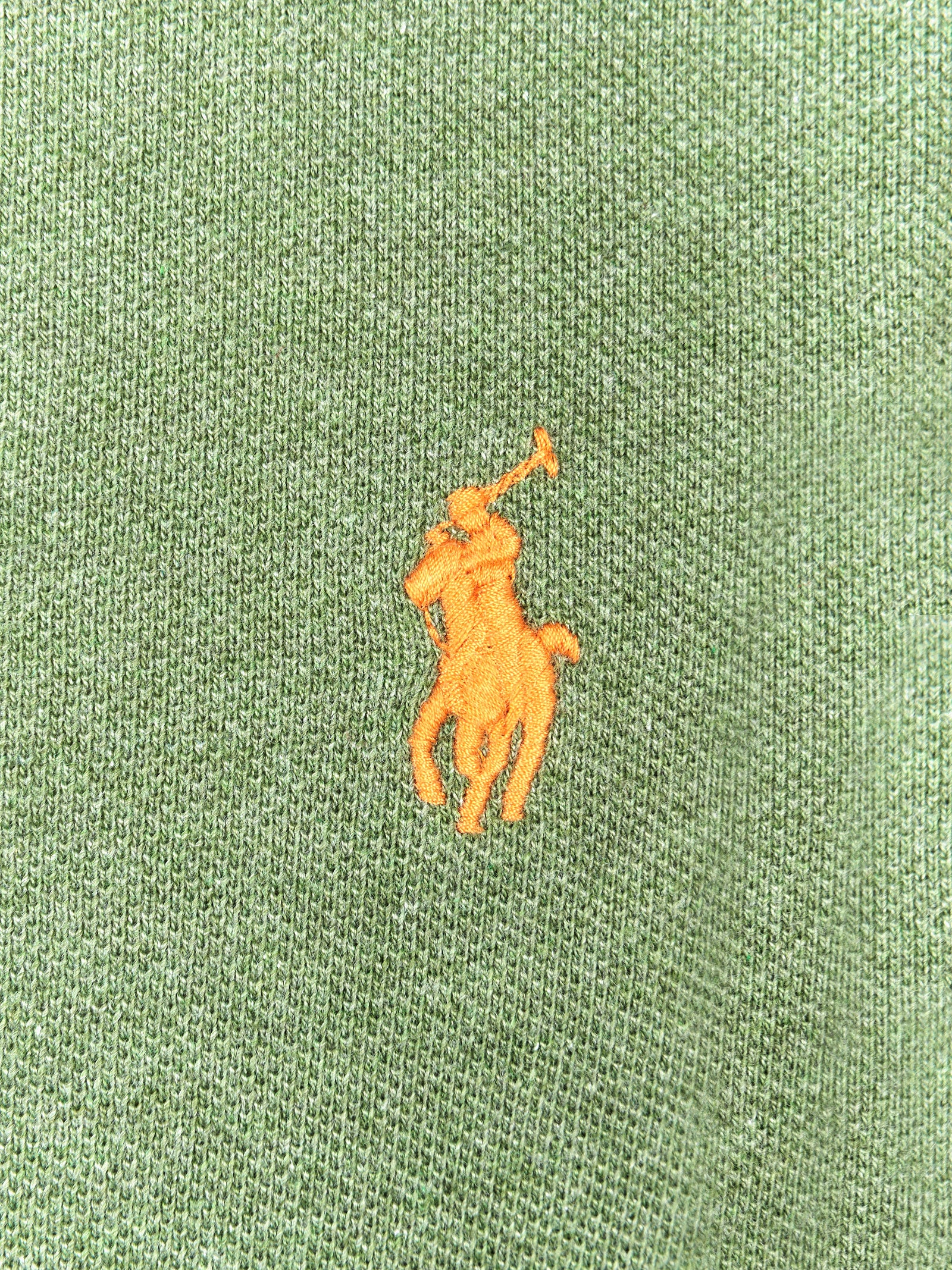 Immagine diapositiva