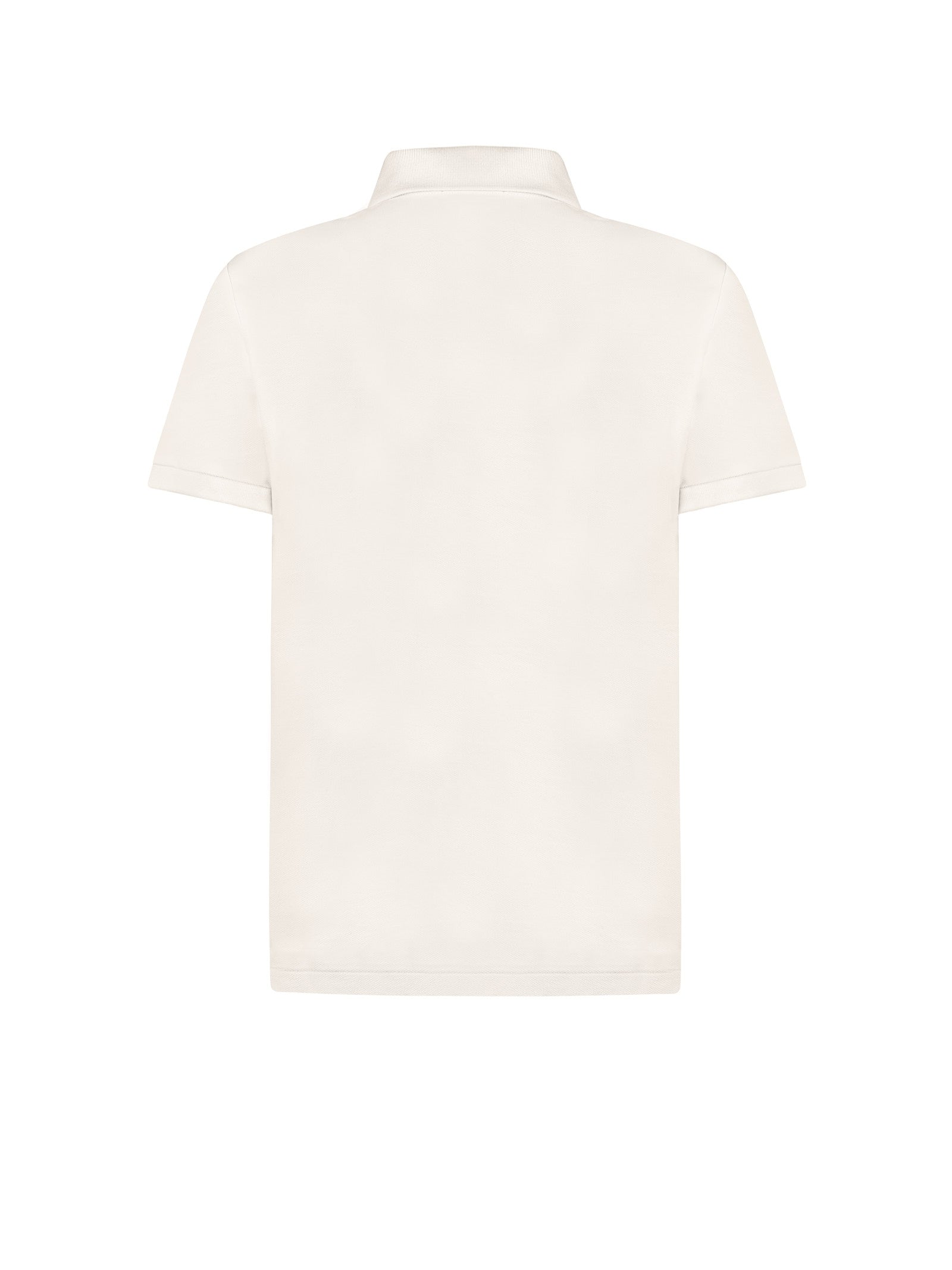 Immagine diapositiva