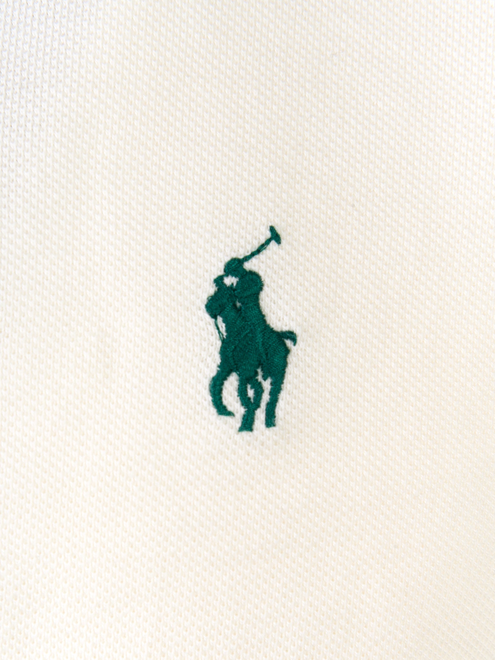 Immagine diapositiva