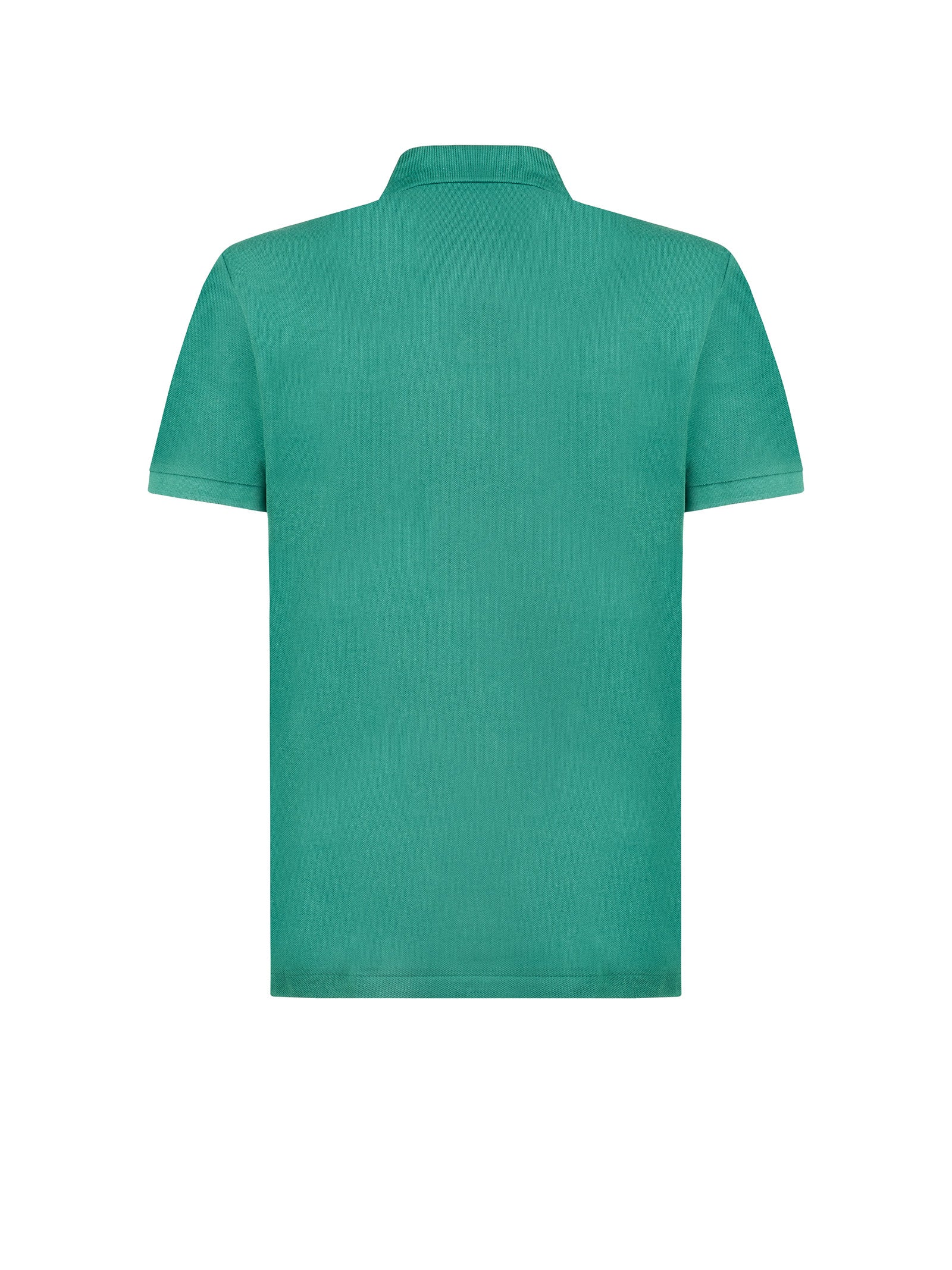 Immagine diapositiva