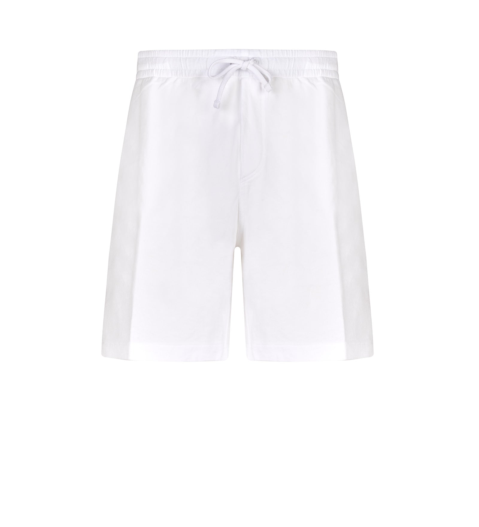 Immagine diapositiva