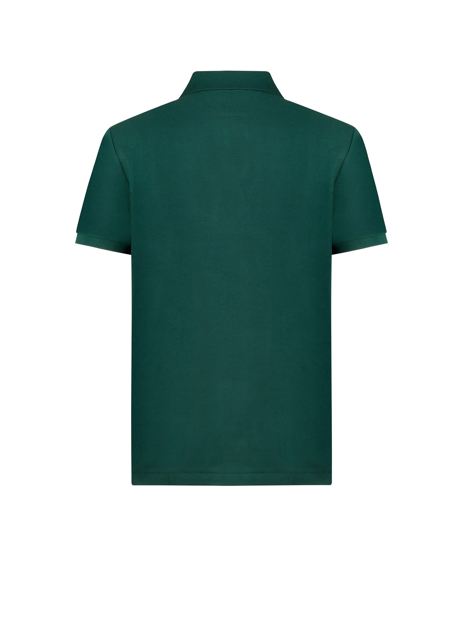 Immagine diapositiva