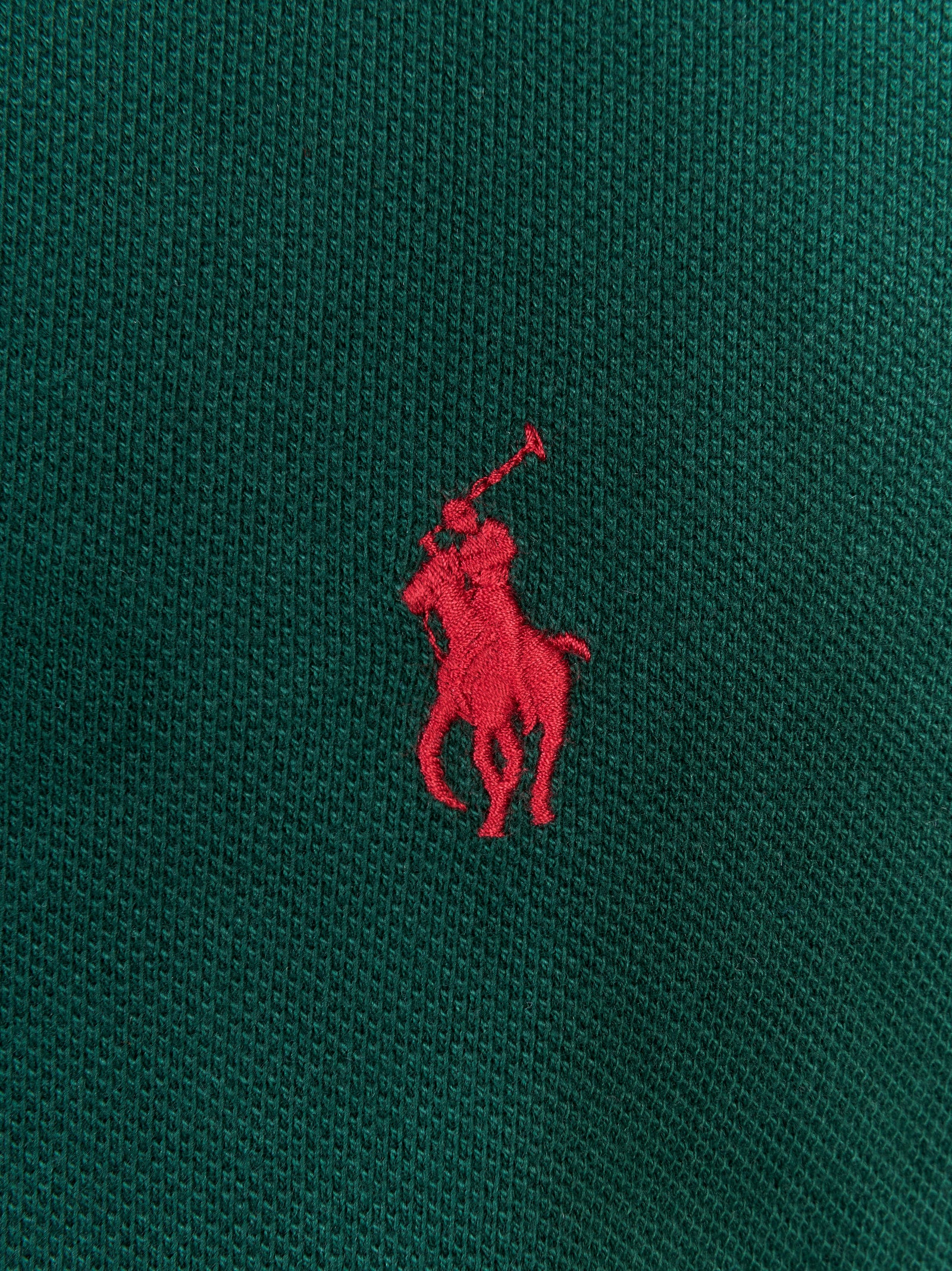 Immagine diapositiva