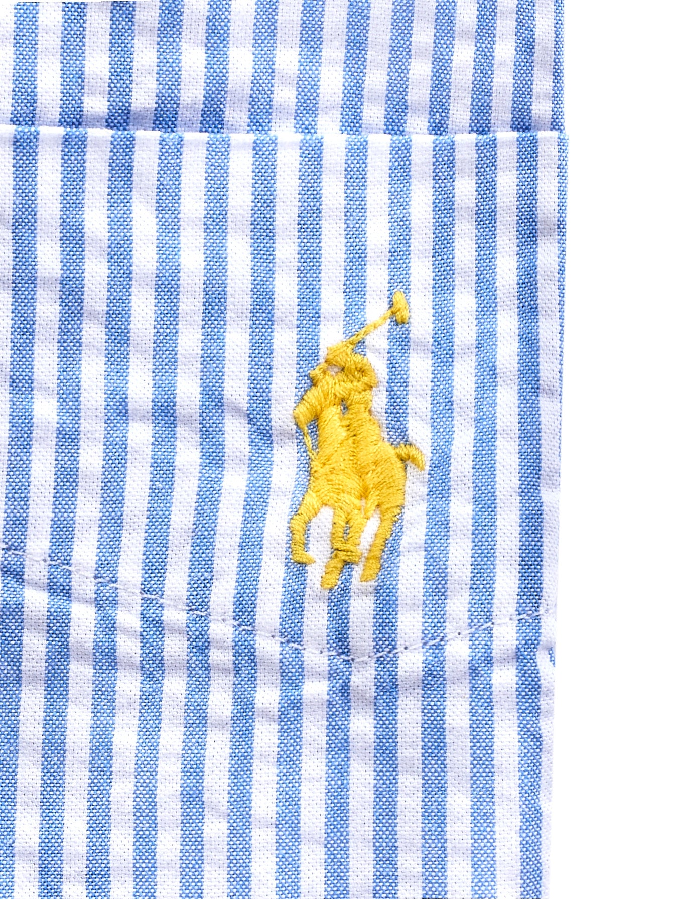 Camicia POLO RALPH LAUREN
Blue white