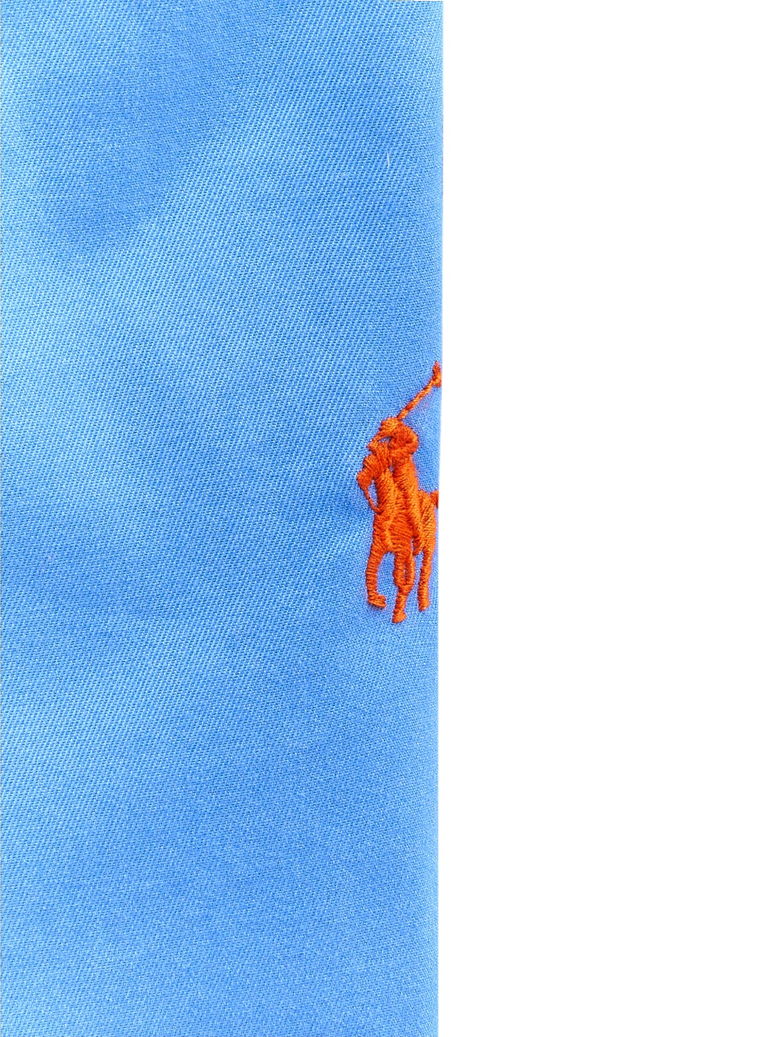 Immagine diapositiva