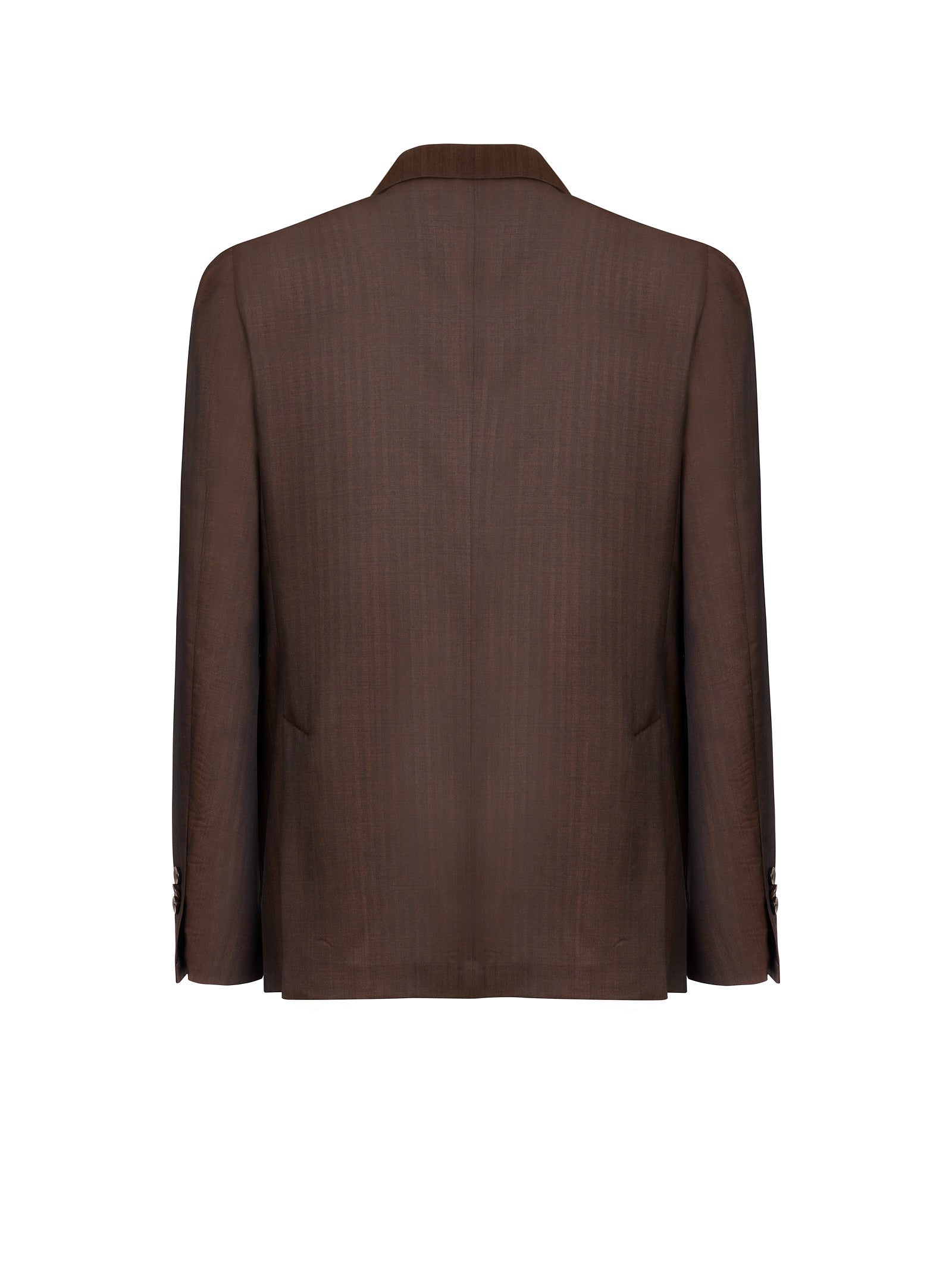 Immagine diapositiva