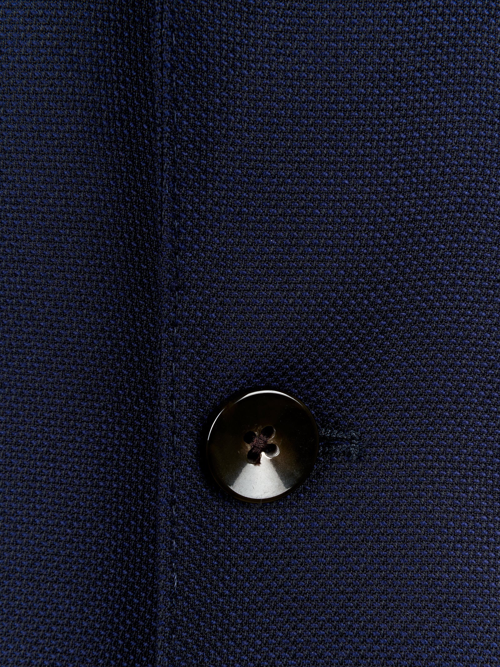 Immagine diapositiva