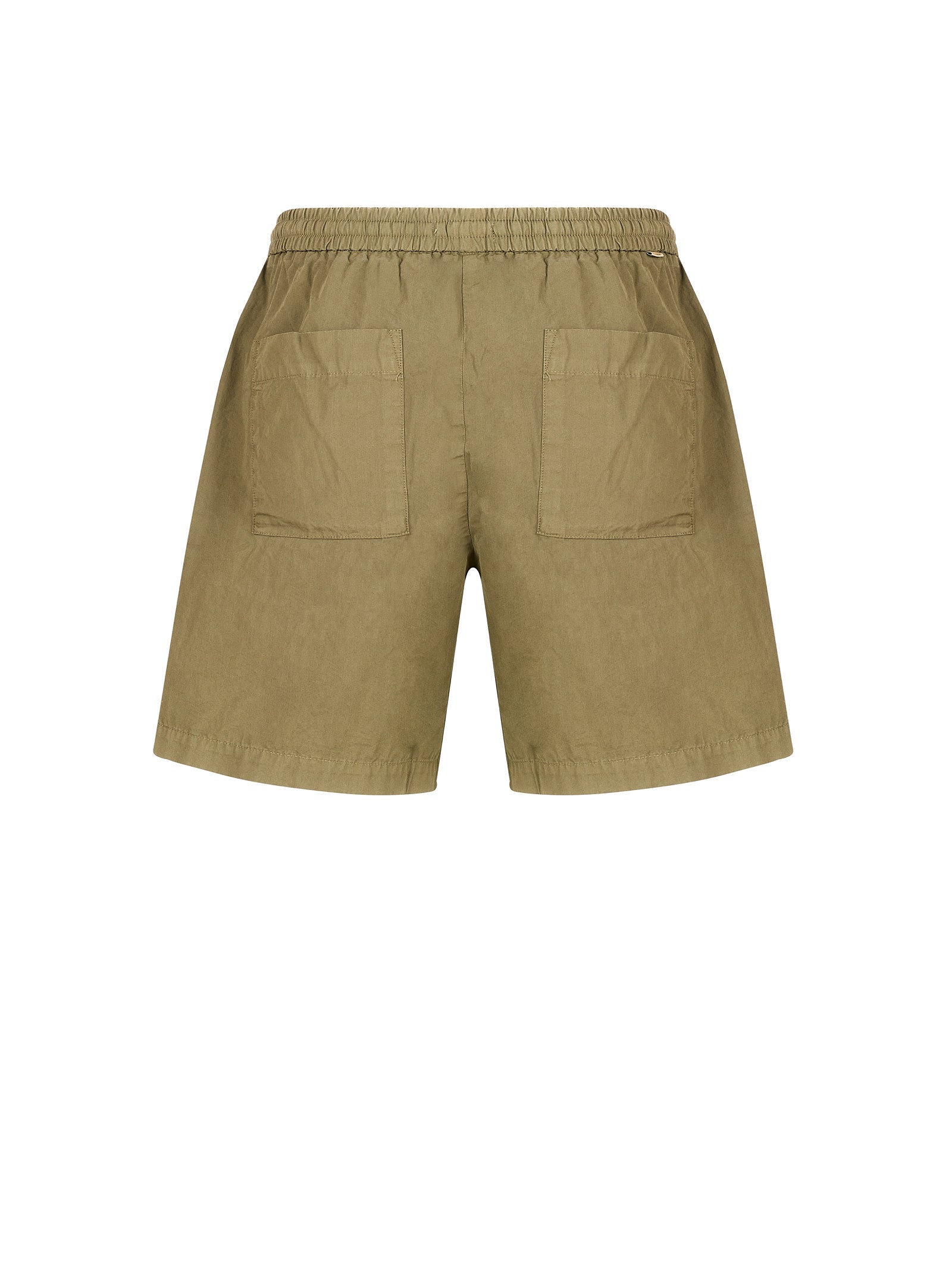 Immagine diapositiva