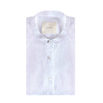 Immagine diapositiva