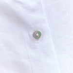 Immagine diapositiva