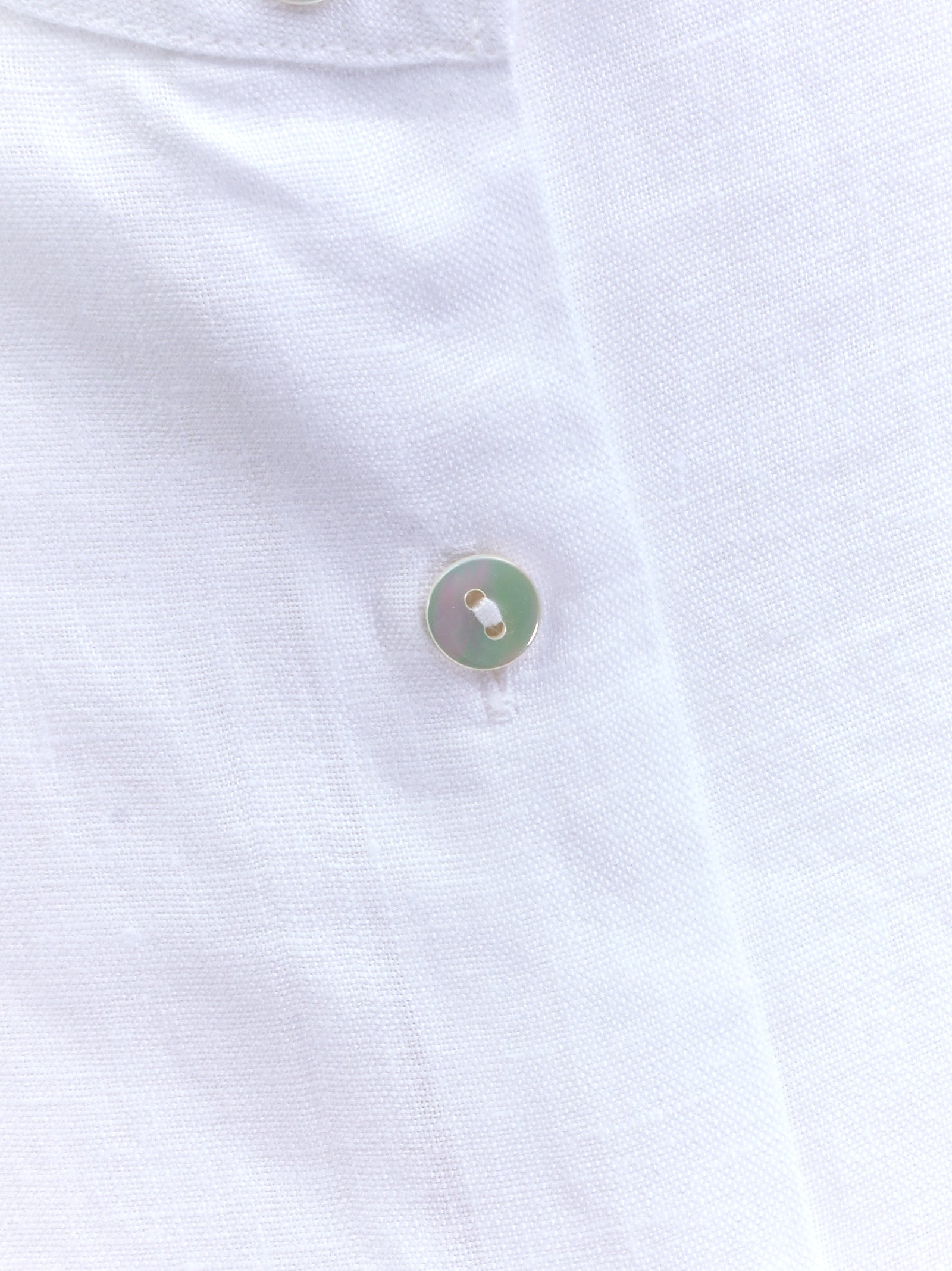 Immagine diapositiva