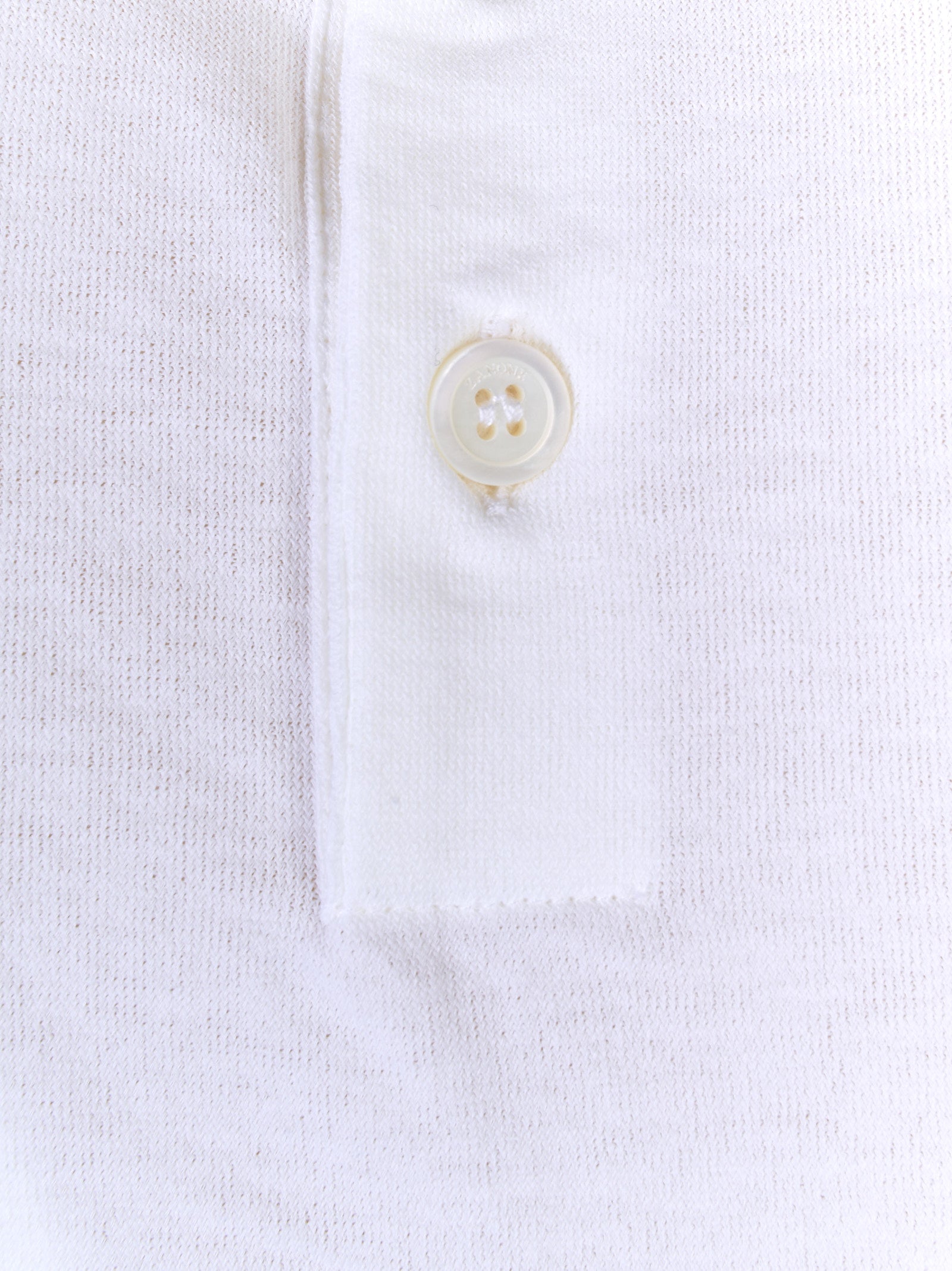 Immagine diapositiva